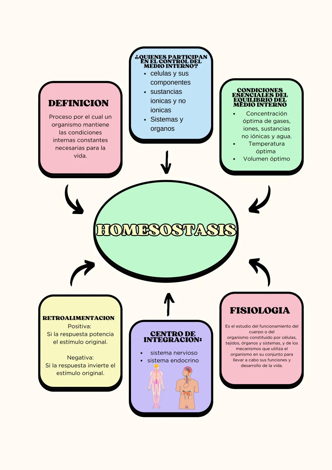 DEFINICION
Proceso por el cual un
organismo mantiene
las condiciones
internas constantes
necesarias para la
vida.
¿QUIENES PARTICIPAN
EN EL
