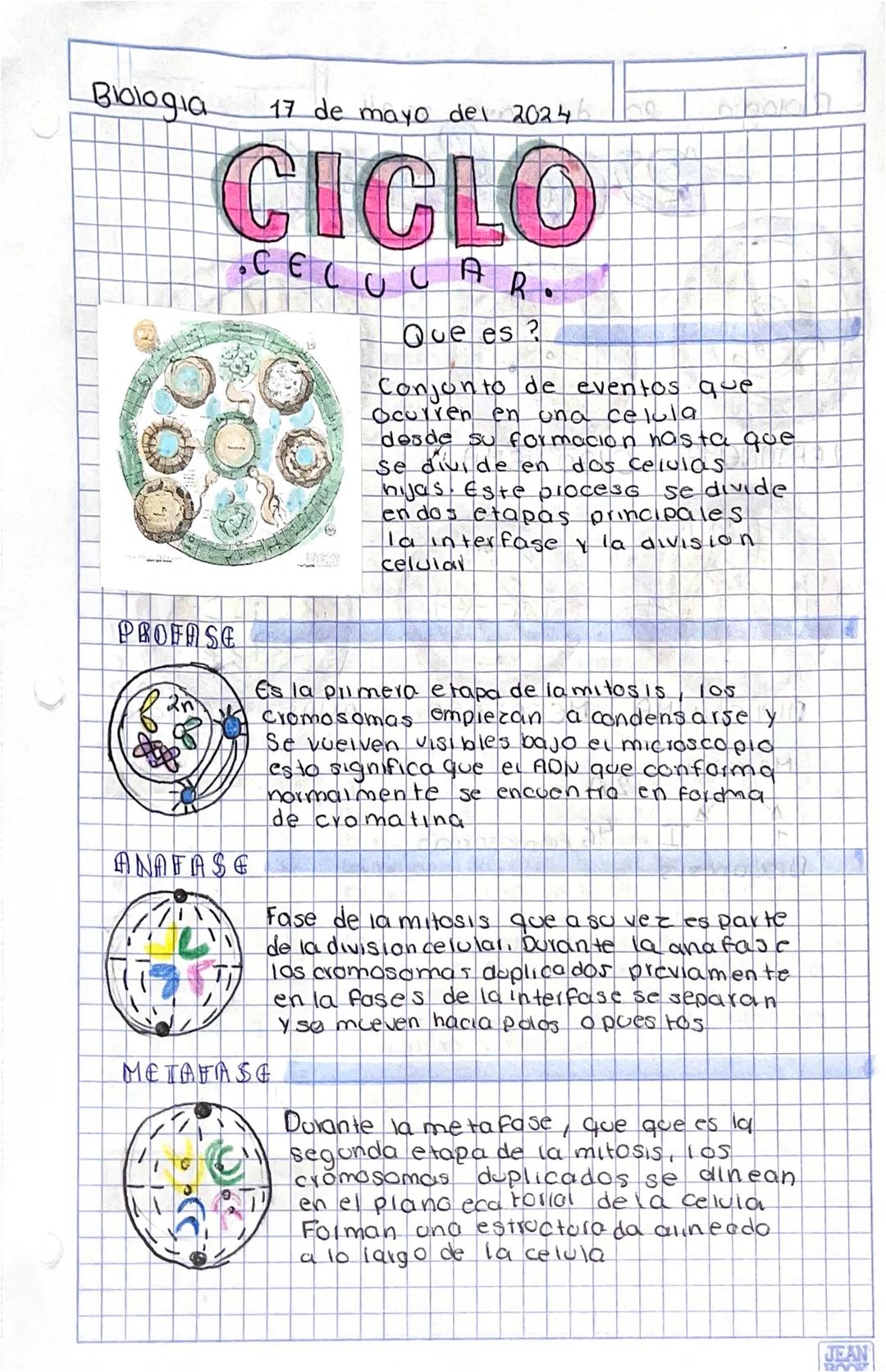 Biologia
17 de mayo del 2024
# CICLO
## CELULAR.
Que es?
Conjunto de eventos que
Ocurren en una celula
desde su formacion hasta que
se divi