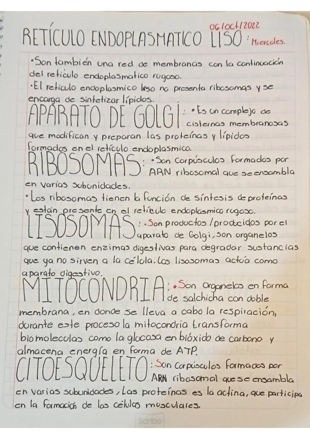 Exámen 12 de Oct.
Es la Unidad anatomo funcional de todo ser vivo. La célula puede
Ser célula procariante o cucarionte.
Células Procariont