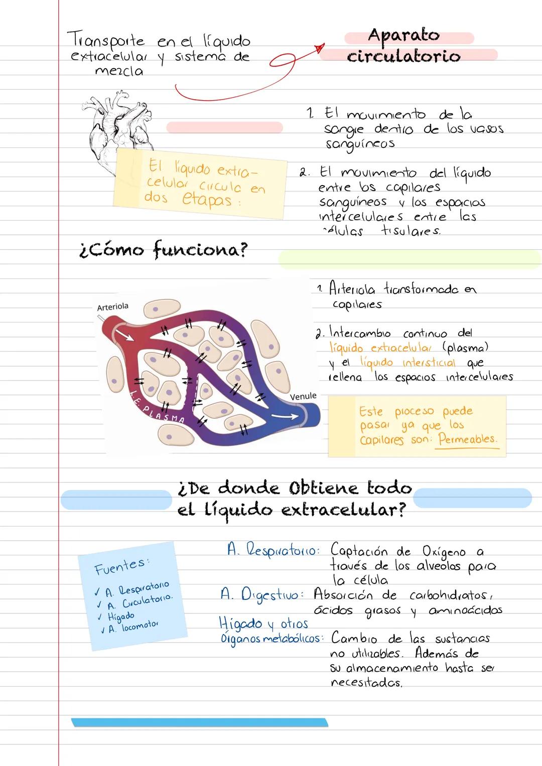 # FISIOLOGÍA
La fisiología es la
ciencia que pretende
explicar los mecanismos
físicas y químicos
responsables del origen
y desarrollo de la