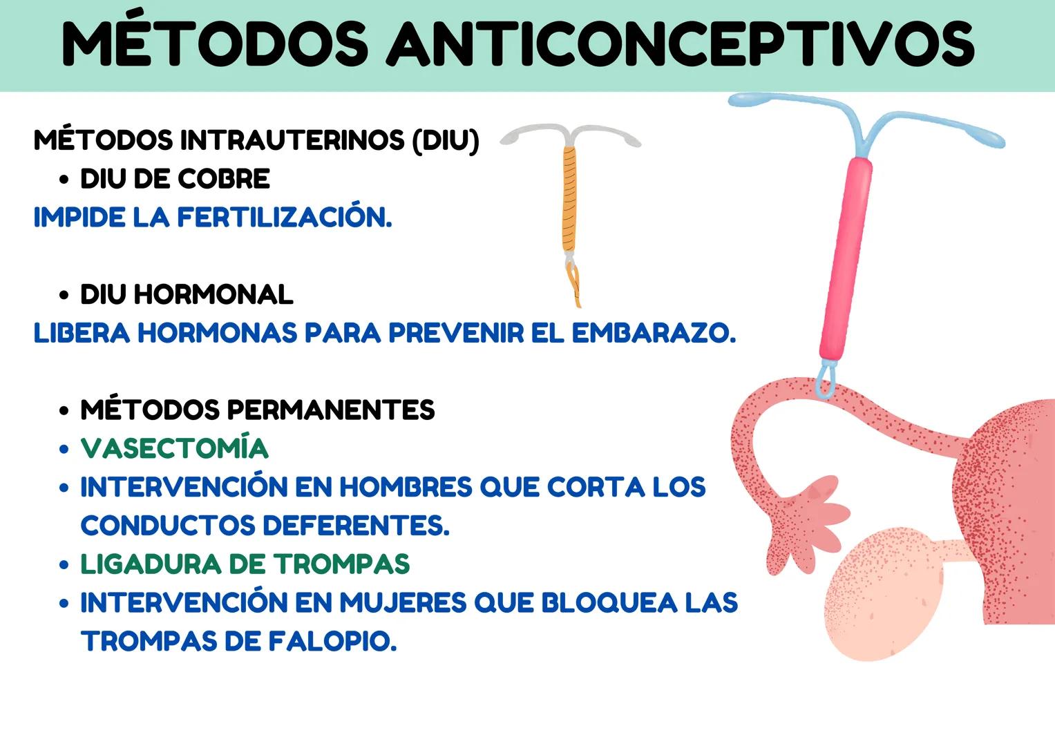 # MÉTODOS ANTICONCEPTIVOS
## MÉTODOS NATURALES:
* COITUS INTERRUPTUS
RETIRO ANTES DE LA
EYACULACIÓN.
* MÉTODOS DE RITMO
EVITAR RELACIONES E