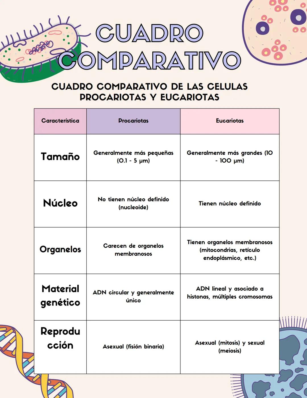 # CUADRO
# COMPARATIVO
CUADRO COMPARATIVO DE LAS CELULAS
PROCARIOTAS Y EUCARIOTAS
| Característica | Procariotas | Eucariotas |
|---|---|