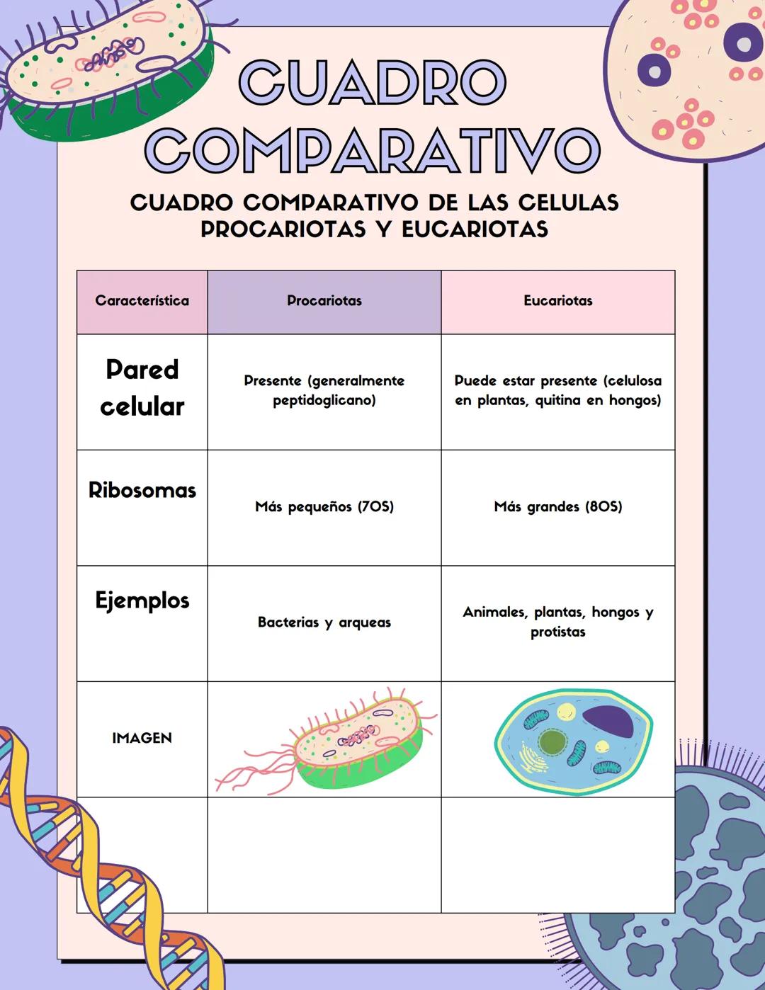 # CUADRO
# COMPARATIVO
CUADRO COMPARATIVO DE LAS CELULAS
PROCARIOTAS Y EUCARIOTAS
| Característica | Procariotas | Eucariotas |
|---|---|