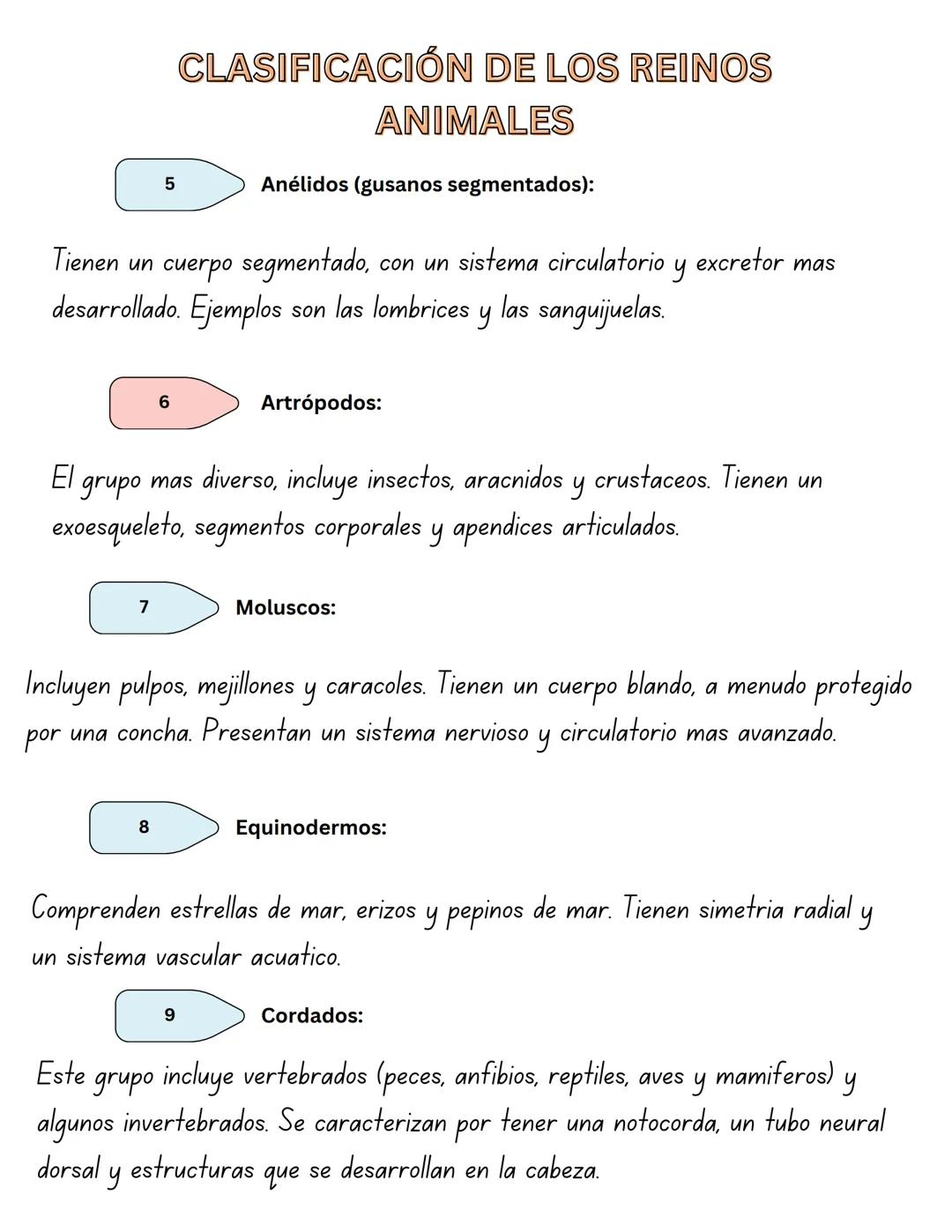 CLASIFICACIÓN DE LOS REINOS
ANIMALES
Los reinos animales se clasifican en diferentes grupos segun caracteristicas comunes.
Aqui tienes un re