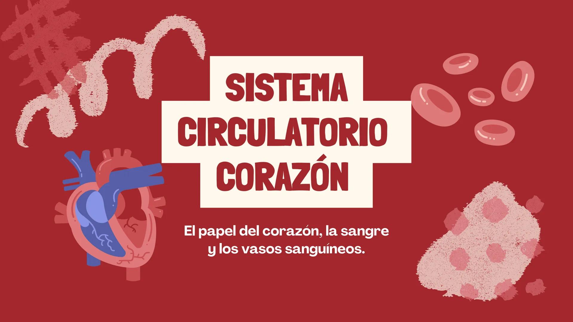 SISTEMA
CIRCULATORIO
CORAZÓN
El papel del corazón, la sangre
y los vasos sanguíneos. EL CORAZON
Funciona como una bomba para
mover la sangre