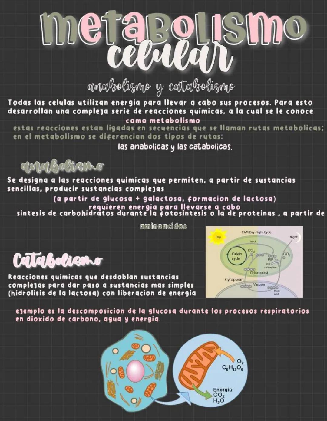 # metabolismo
celular
anabolismo y catabolismo
Todas las celulas utilizan energia para llevar a cabo sus procesos. Para esto
desarrollan u