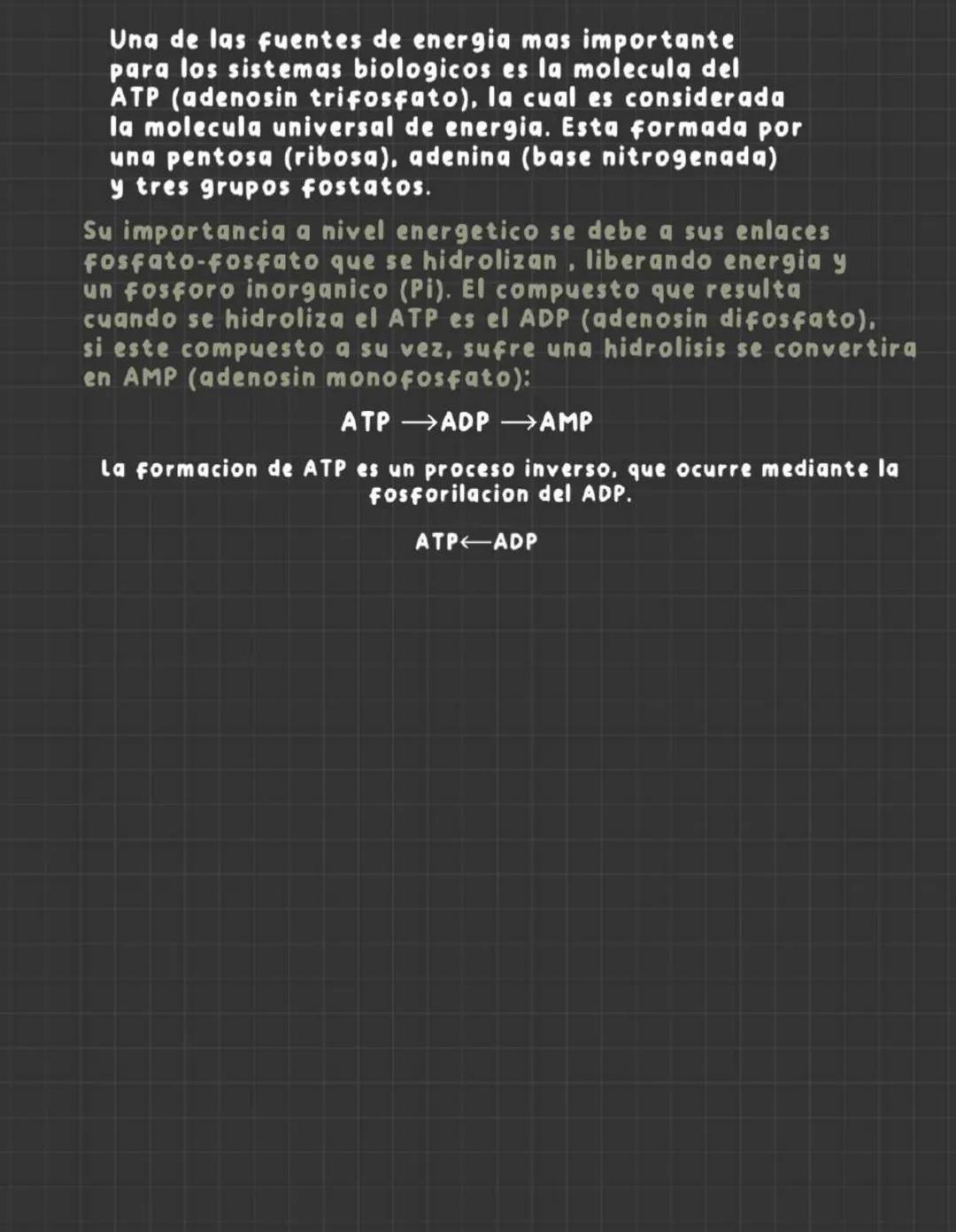 # metabolismo
celular
anabolismo y catabolismo
Todas las celulas utilizan energia para llevar a cabo sus procesos. Para esto
desarrollan u