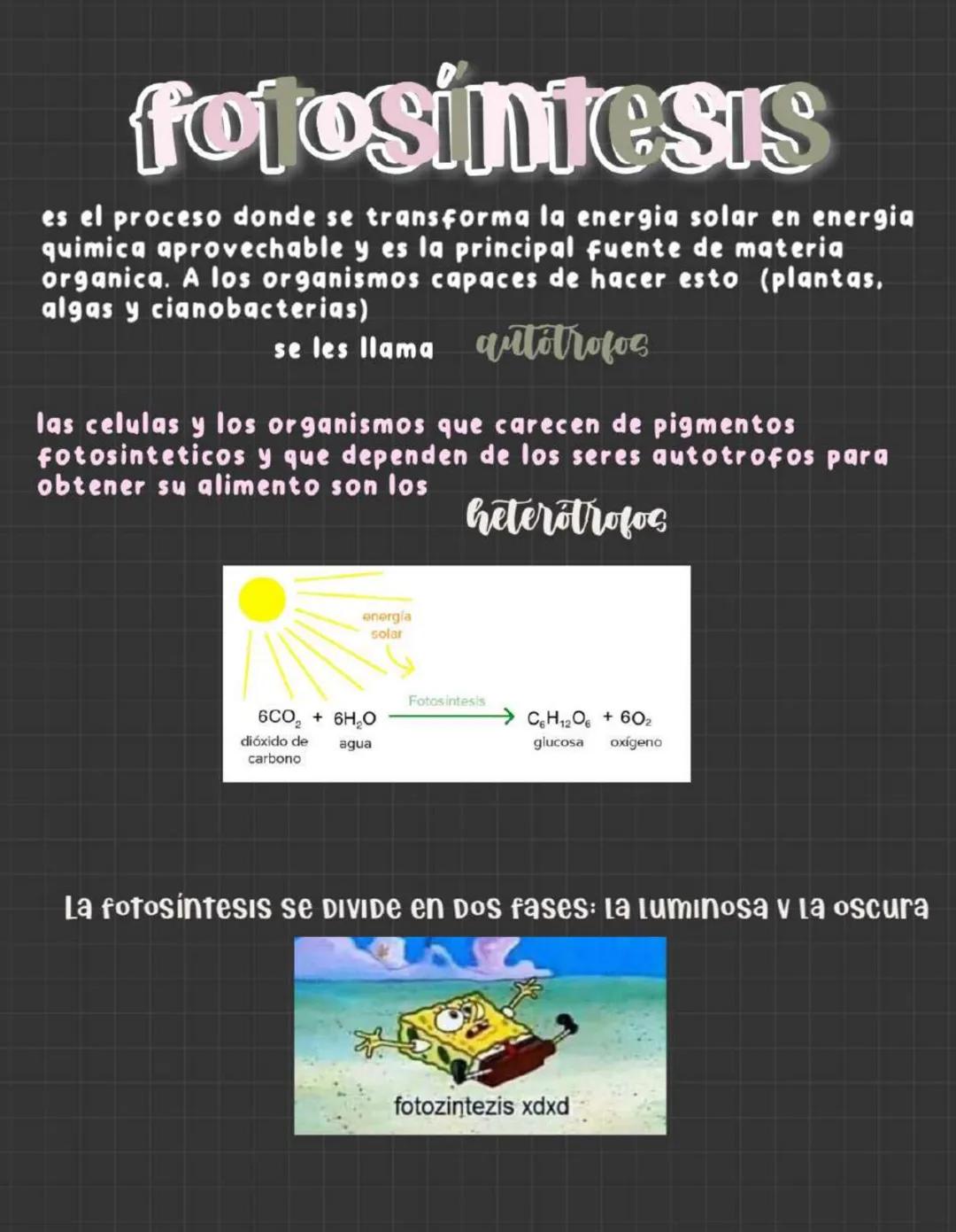 # metabolismo
celular
anabolismo y catabolismo
Todas las celulas utilizan energia para llevar a cabo sus procesos. Para esto
desarrollan u