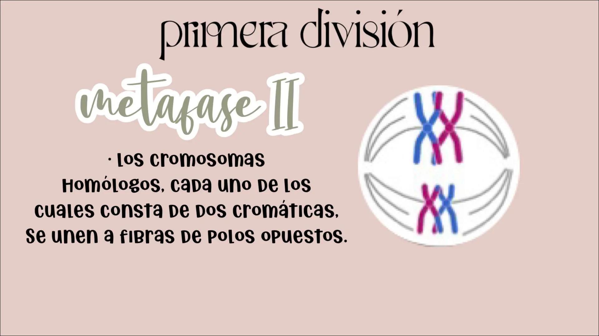 # Reproducción
## CELULAR
- Núcleo
Biología
Meiosis
Mitosis # Reproducción celular
CÉLULAS DIVIDIDAS Y Dan origen a nuevas
# ciclo celula