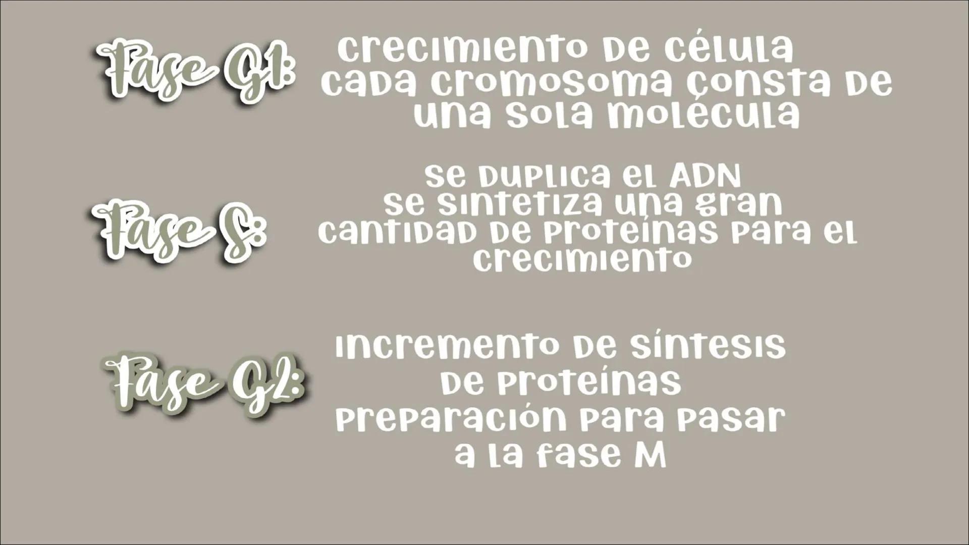 # Reproducción
## CELULAR
- Núcleo
Biología
Meiosis
Mitosis # Reproducción celular
CÉLULAS DIVIDIDAS Y Dan origen a nuevas
# ciclo celula