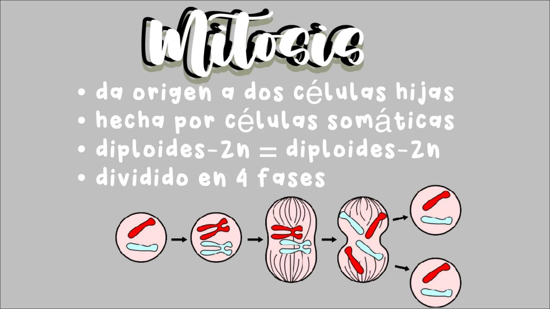 # Reproducción
## CELULAR
- Núcleo
Biología
Meiosis
Mitosis # Reproducción celular
CÉLULAS DIVIDIDAS Y Dan origen a nuevas
# ciclo celula