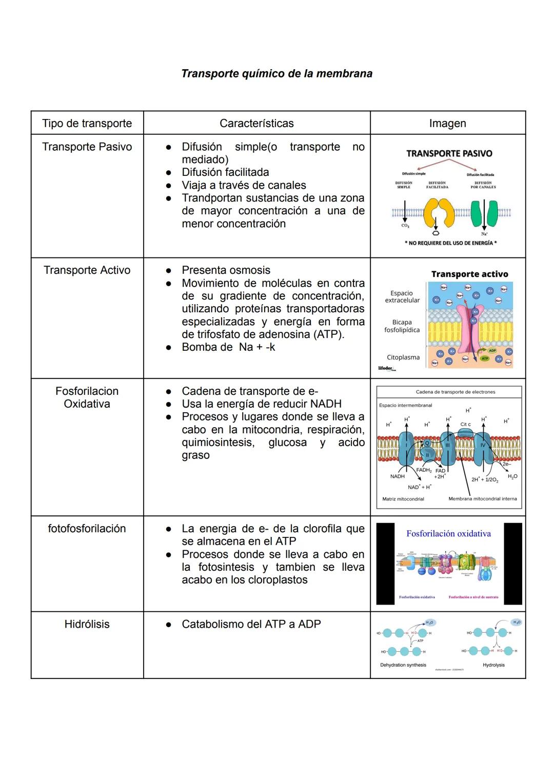 ```markdown
Tipo de transporte
Transporte Pasivo
Transporte químico de la membrana
Características
- Difusión simple (o transporte no
mediad