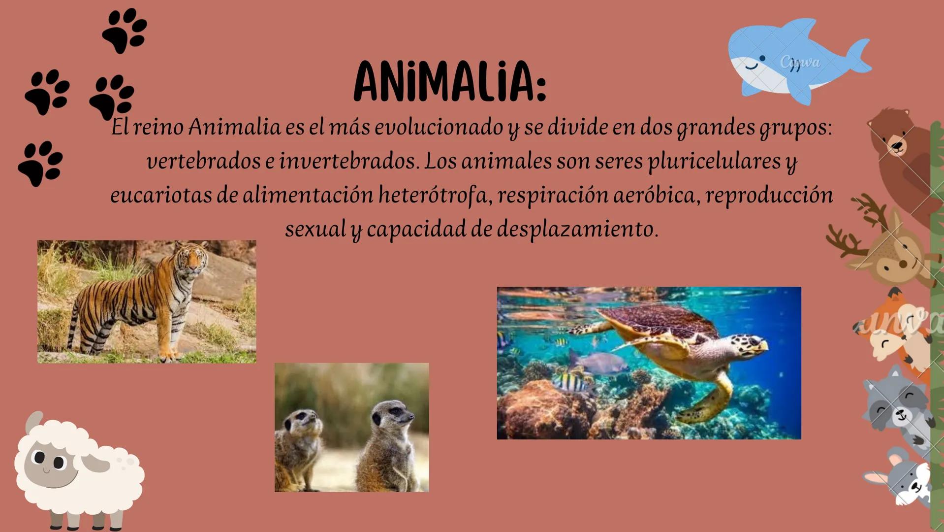 # CLASIFICACION DE LOS SERES VIVOS
PLANTAE:
El reino vegetal también denominado reino plantae, es un término aplicado a todos aquellos ser