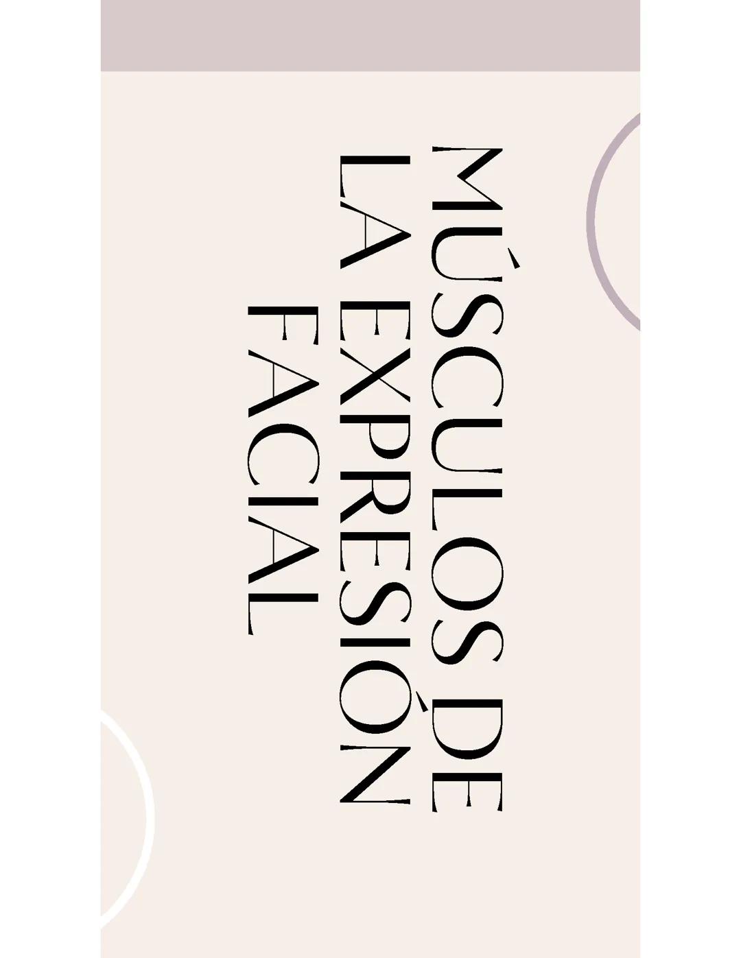 Músculos de los labios y la boca.