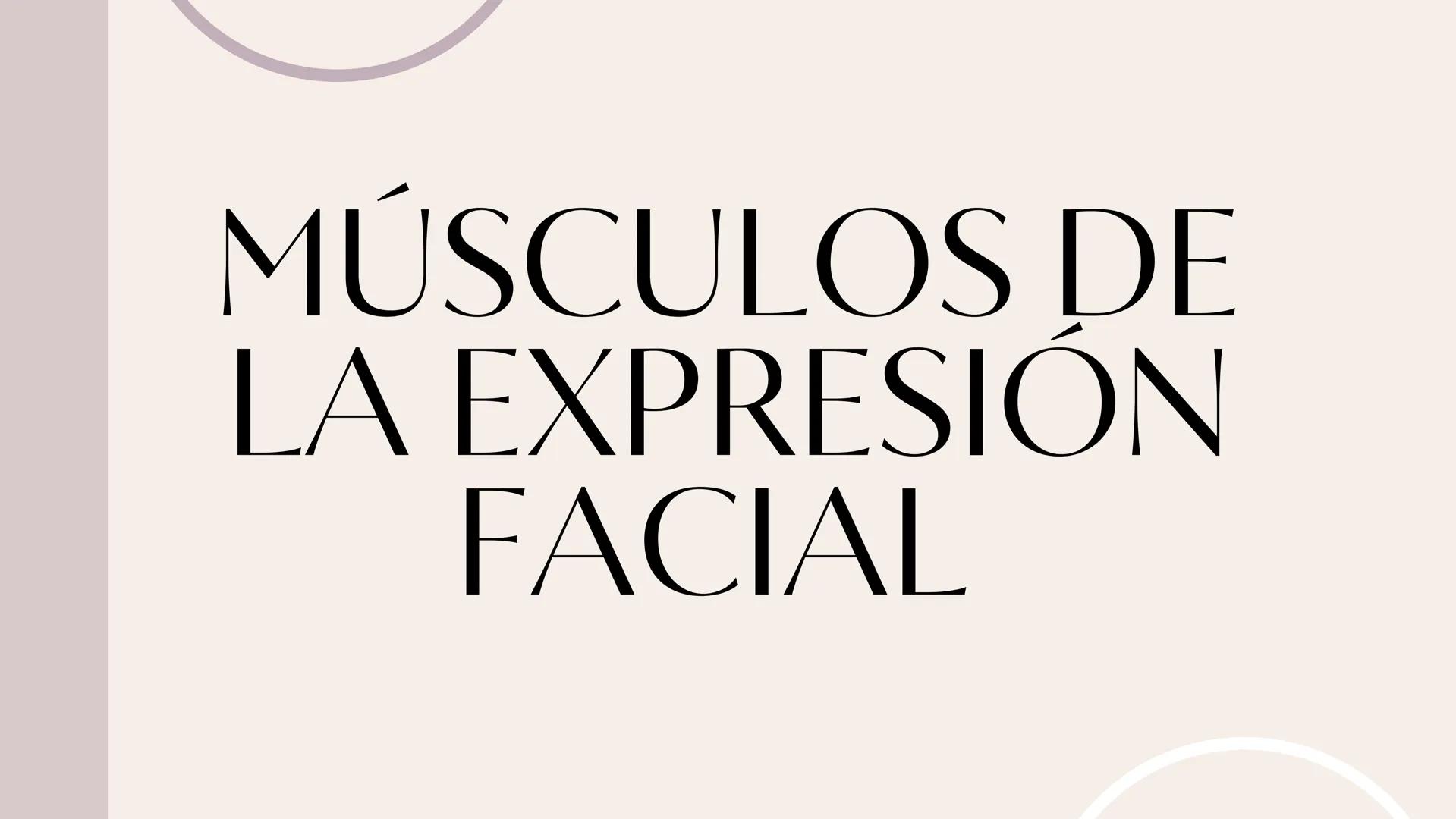 MÚSCULOS DE
LA EXPRESIÓN
FACIAL Son un grupo de músculos especializados que
nos permiten expresar emociones y sentimientos
mediante movimien