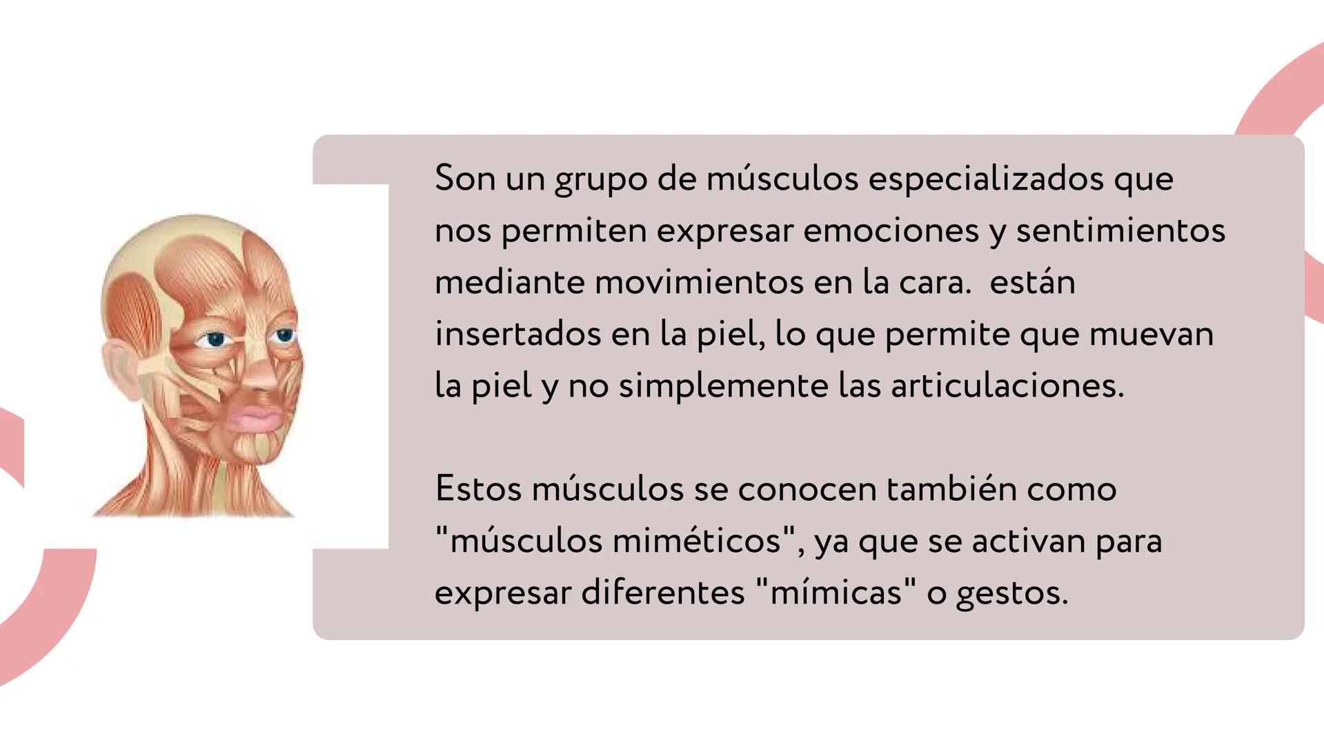 MÚSCULOS DE
LA EXPRESIÓN
FACIAL Son un grupo de músculos especializados que
nos permiten expresar emociones y sentimientos
mediante movimien