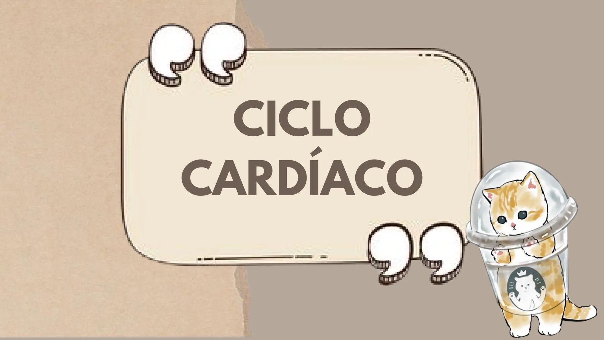 CICLO
CARDÍACO Aurícula derecha: Recibe sangre
pobre en oxígeno de las venas
principales, como la vena cava
superior e inferior, y la envía