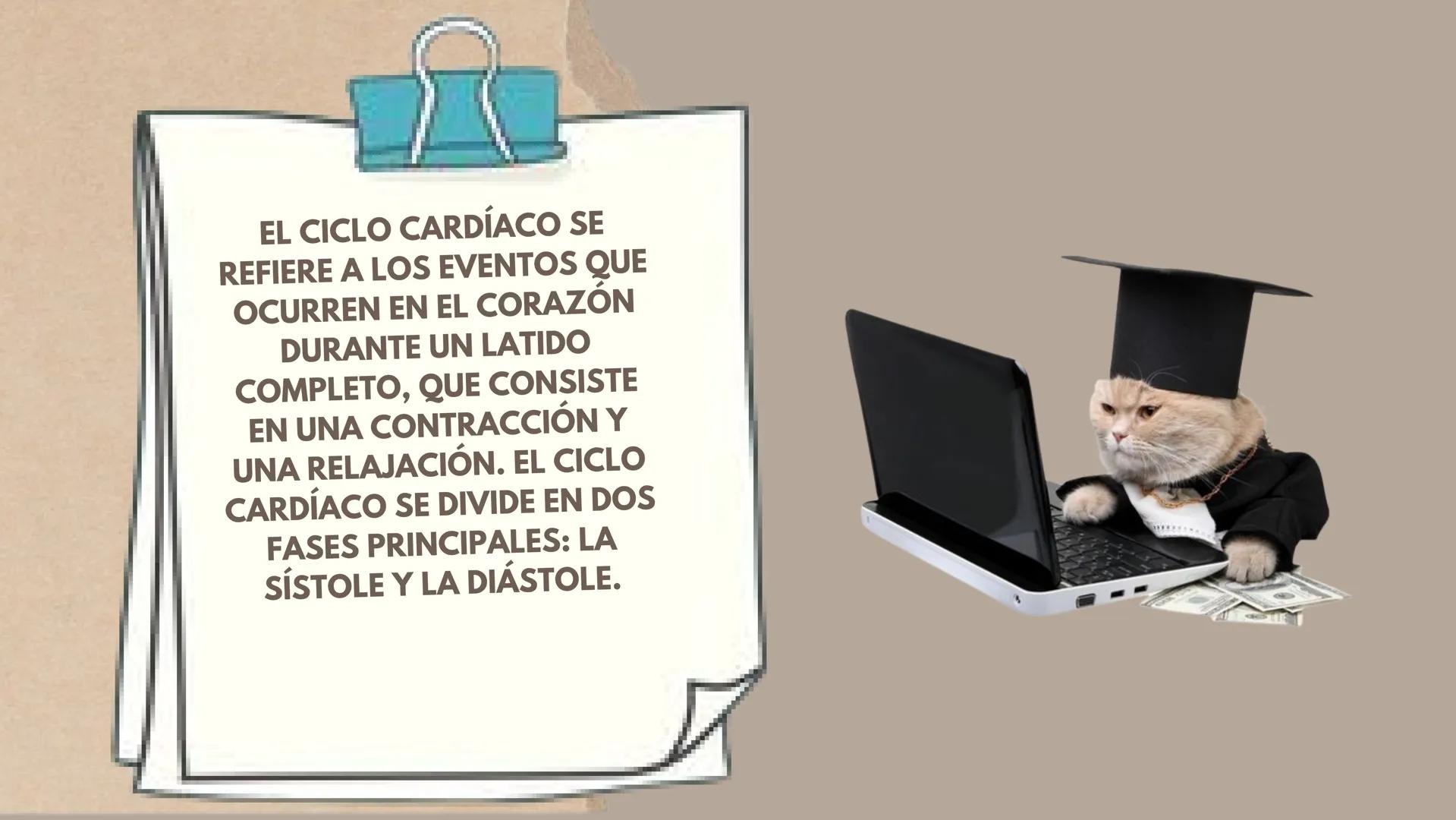 CICLO
CARDÍACO Aurícula derecha: Recibe sangre
pobre en oxígeno de las venas
principales, como la vena cava
superior e inferior, y la envía