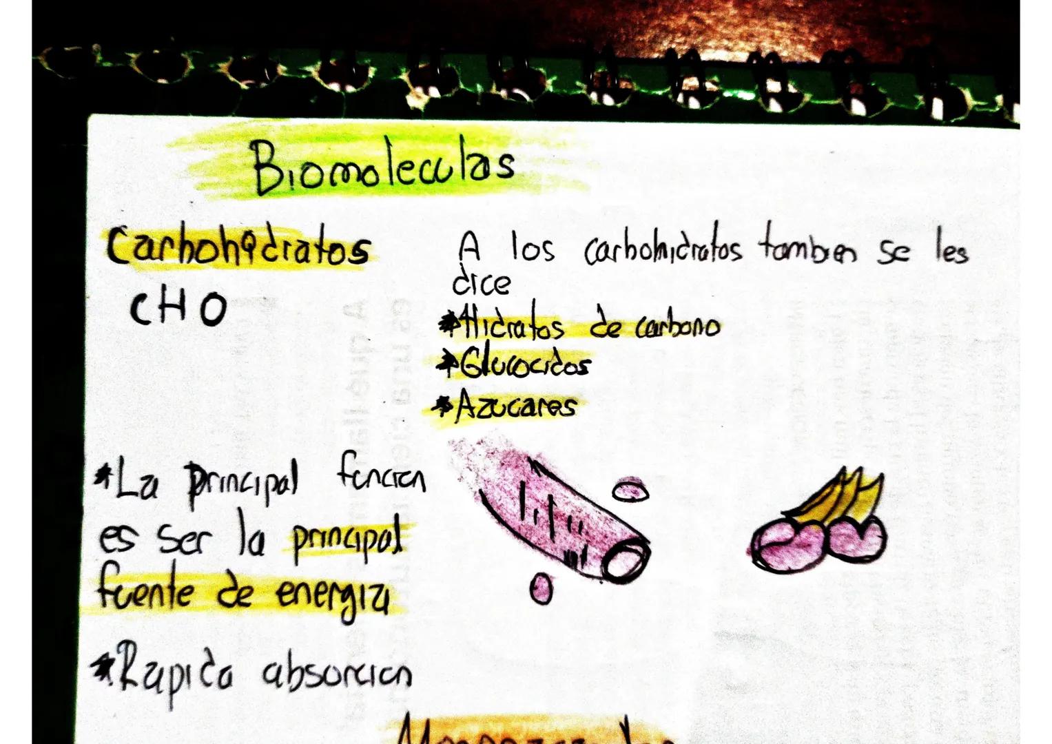 Biomoleculas
Carbohidratos A los carbohidratos tambien se les
CHO
dice
*Hidratos de carbono
*La principal funcion
*Glucocicos
es ser la pr