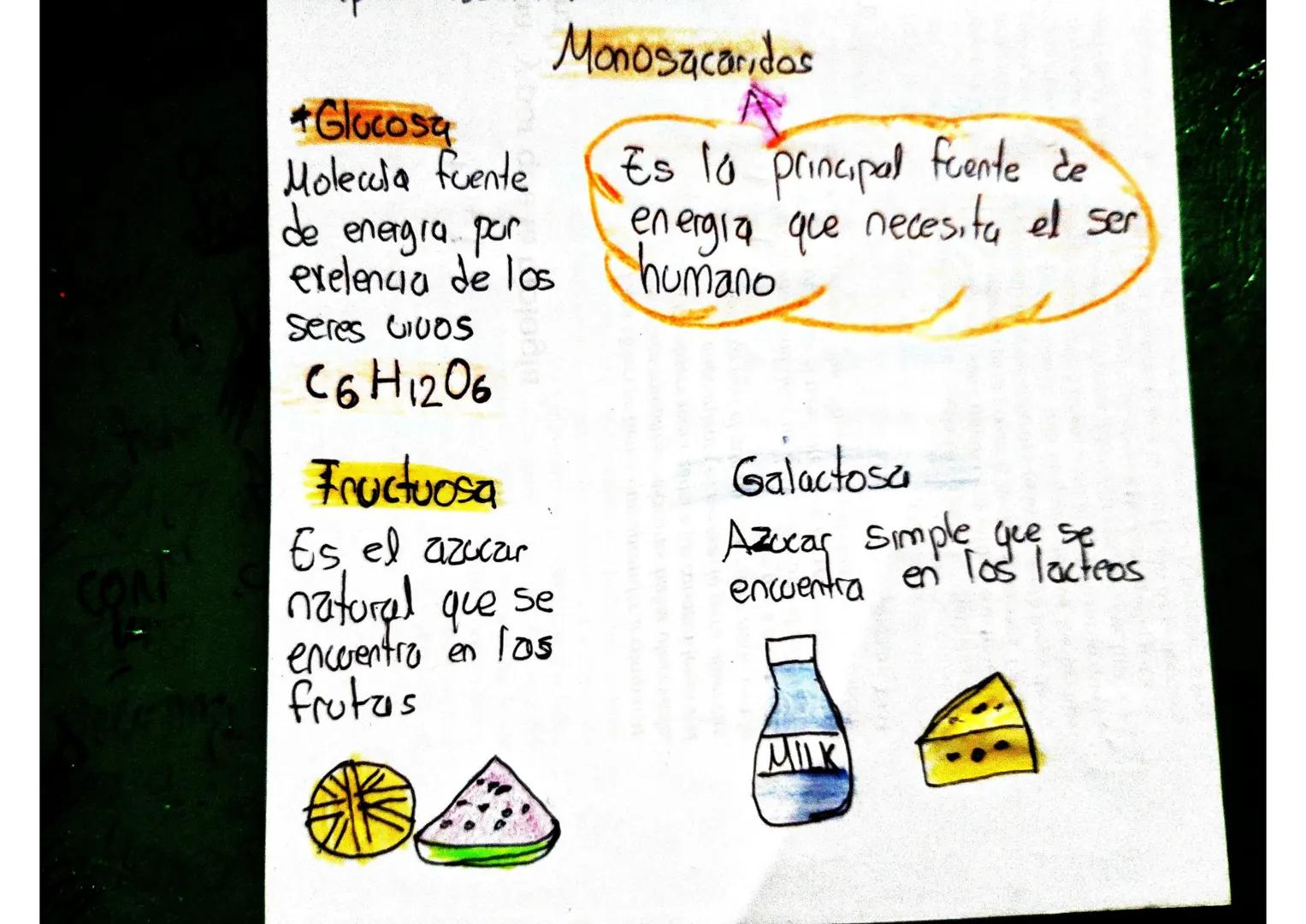 Biomoleculas
Carbohidratos A los carbohidratos tambien se les
CHO
dice
*Hidratos de carbono
*La principal funcion
*Glucocicos
es ser la pr
