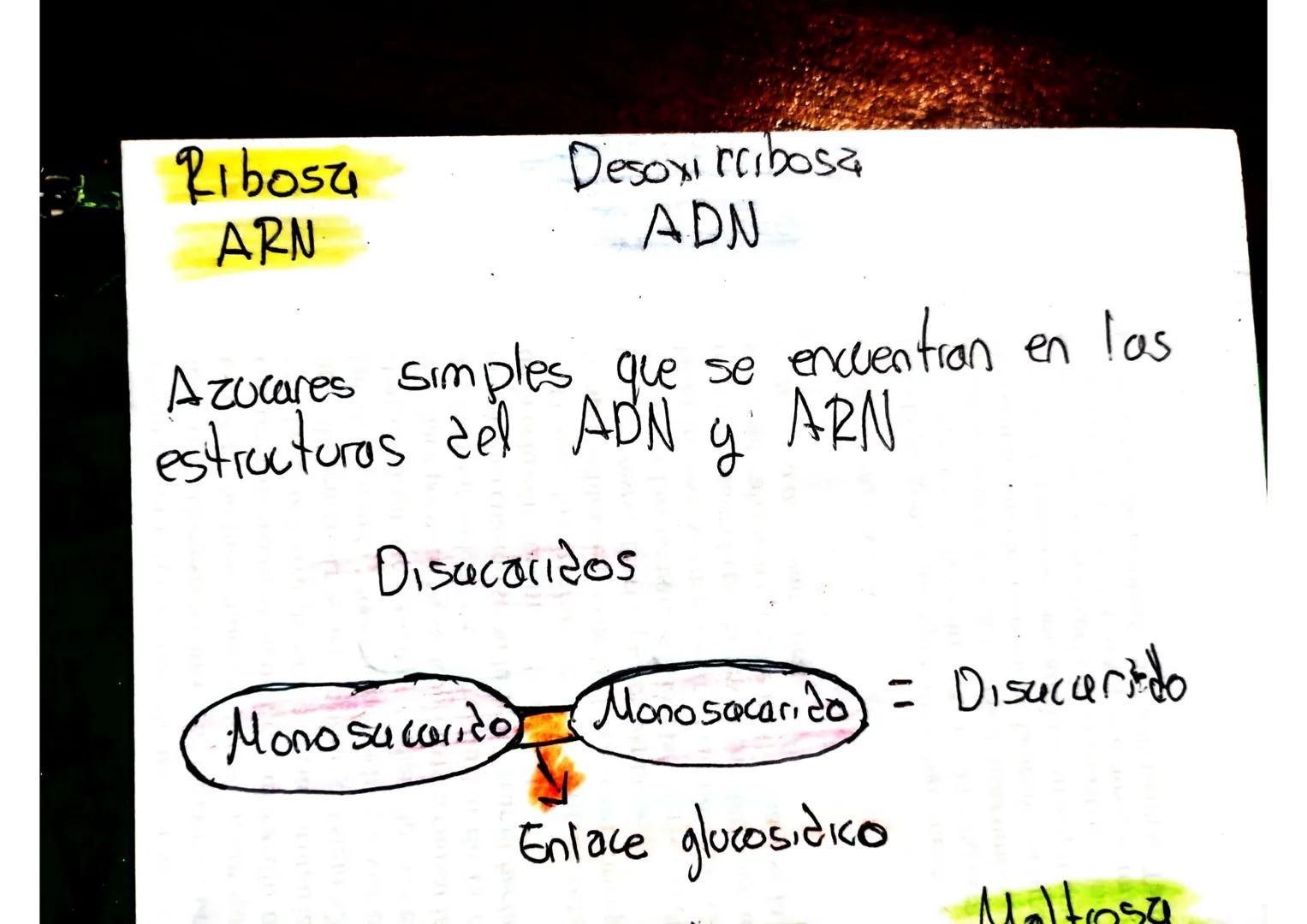 Biomoleculas
Carbohidratos A los carbohidratos tambien se les
CHO
dice
*Hidratos de carbono
*La principal funcion
*Glucocicos
es ser la pr