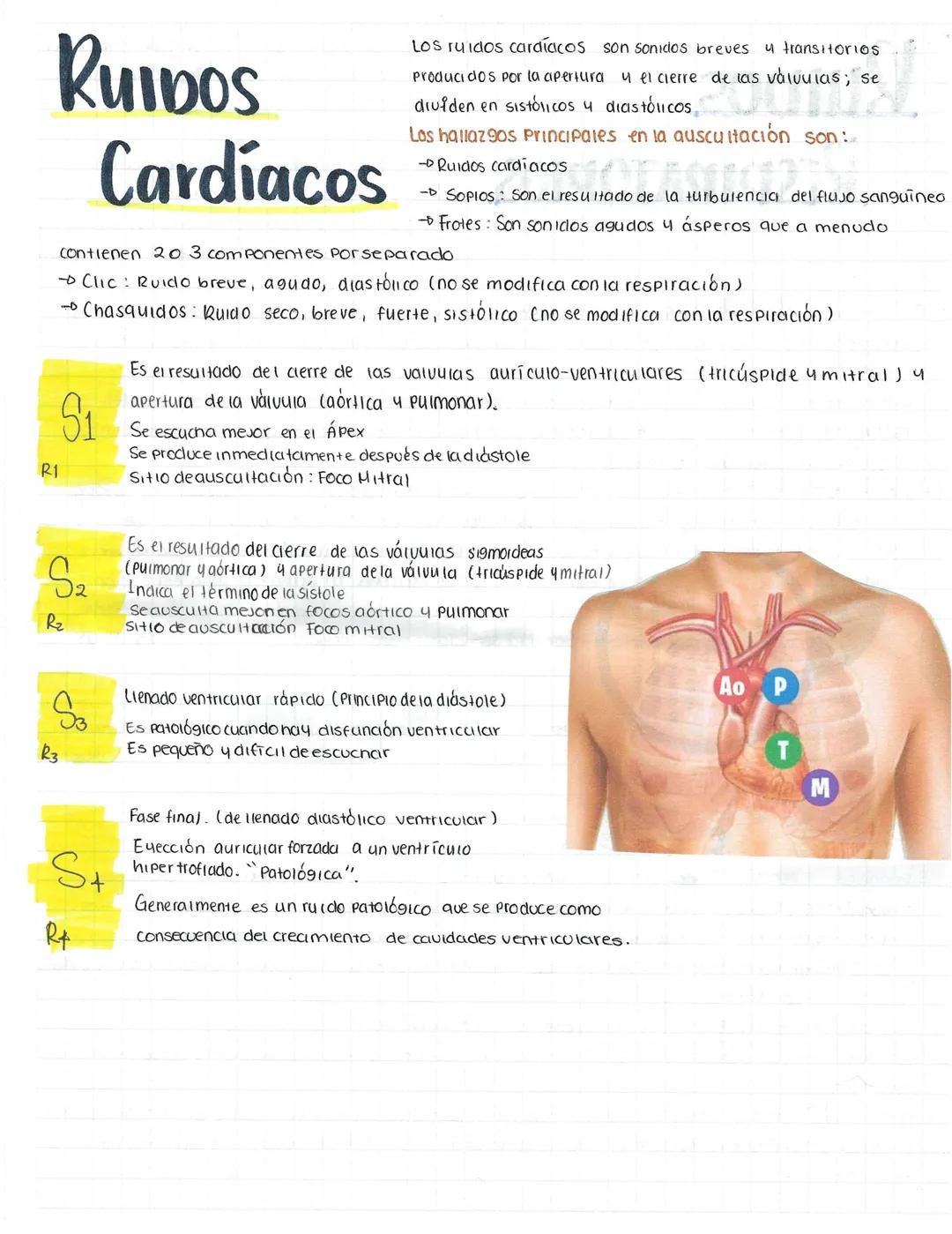 # RUIDOS
Cardíacos
Los ruidos cardíacos son sonidos breves y transitorios
Producidos por la apertura y el cierre de las valvulas; se
diuid