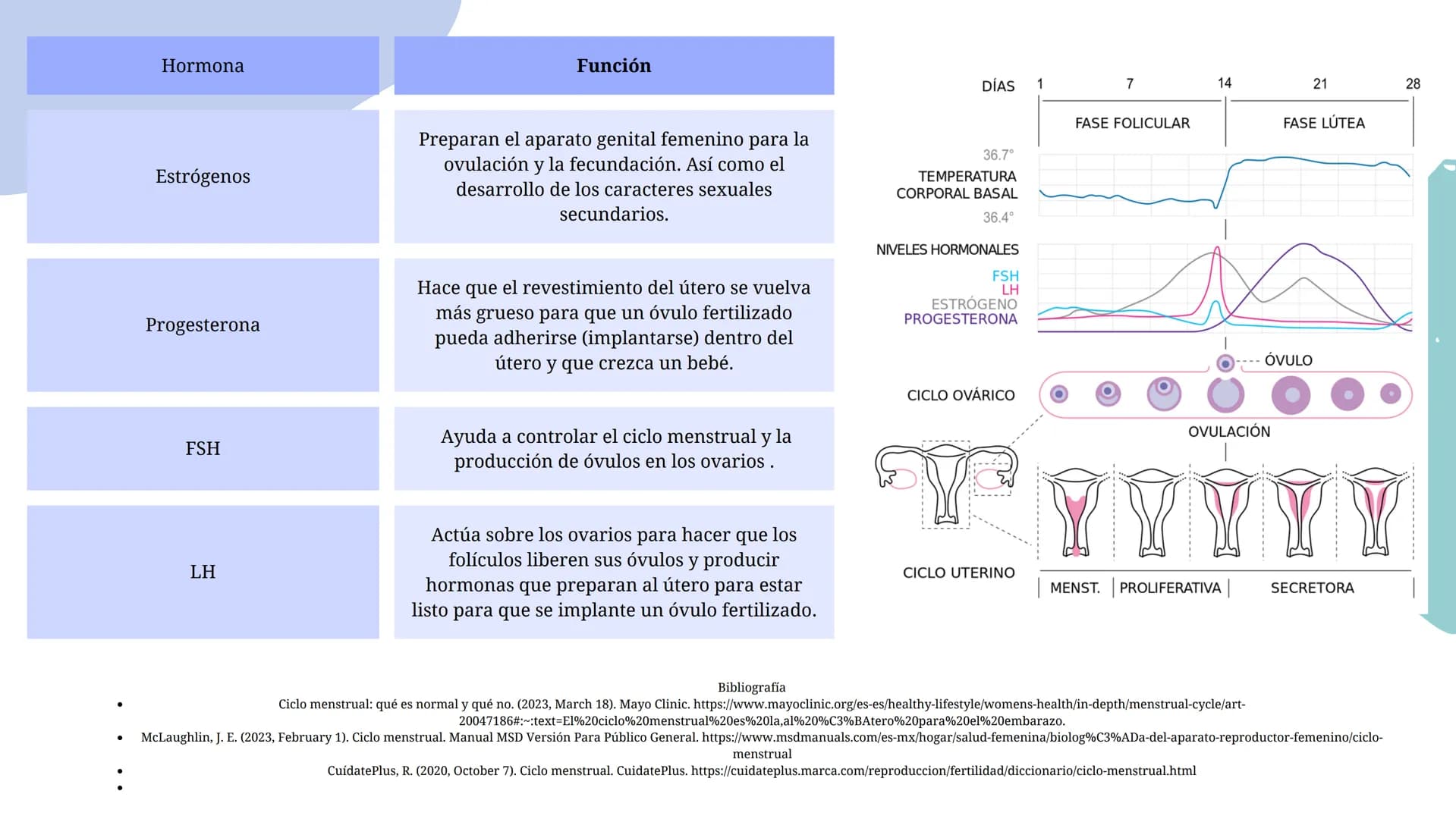 # Ciclo Menstrual
Ciclo
ovárico
Folículo
Maduración
del folículo
Ovulación
Cuerpo Lúteo
Degeneración
del C. Lúteo
37° C
Temperatura