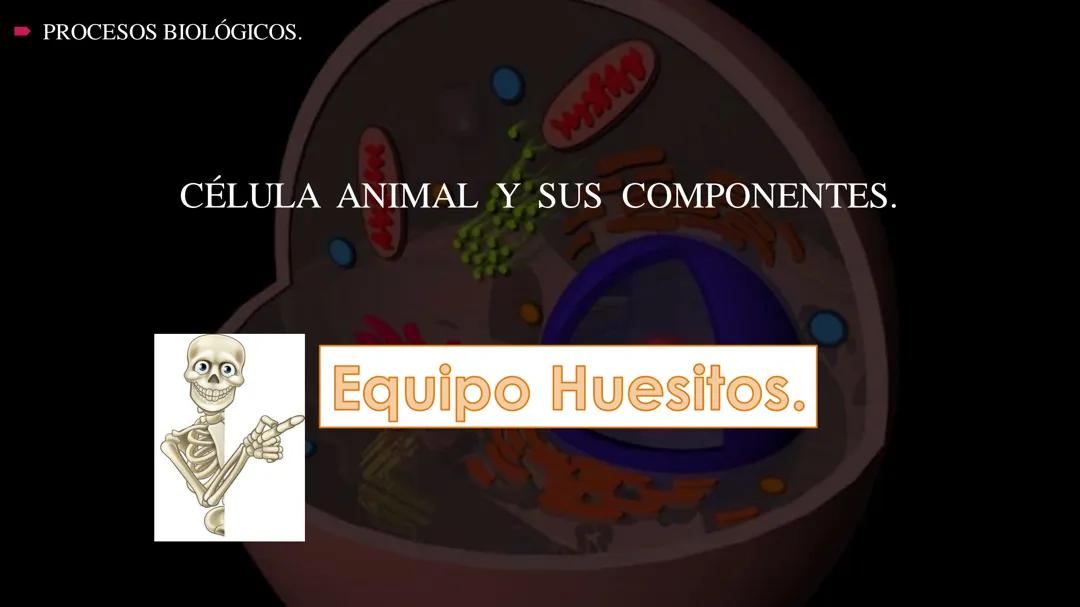 Estructura Detallada de la Célula Animal