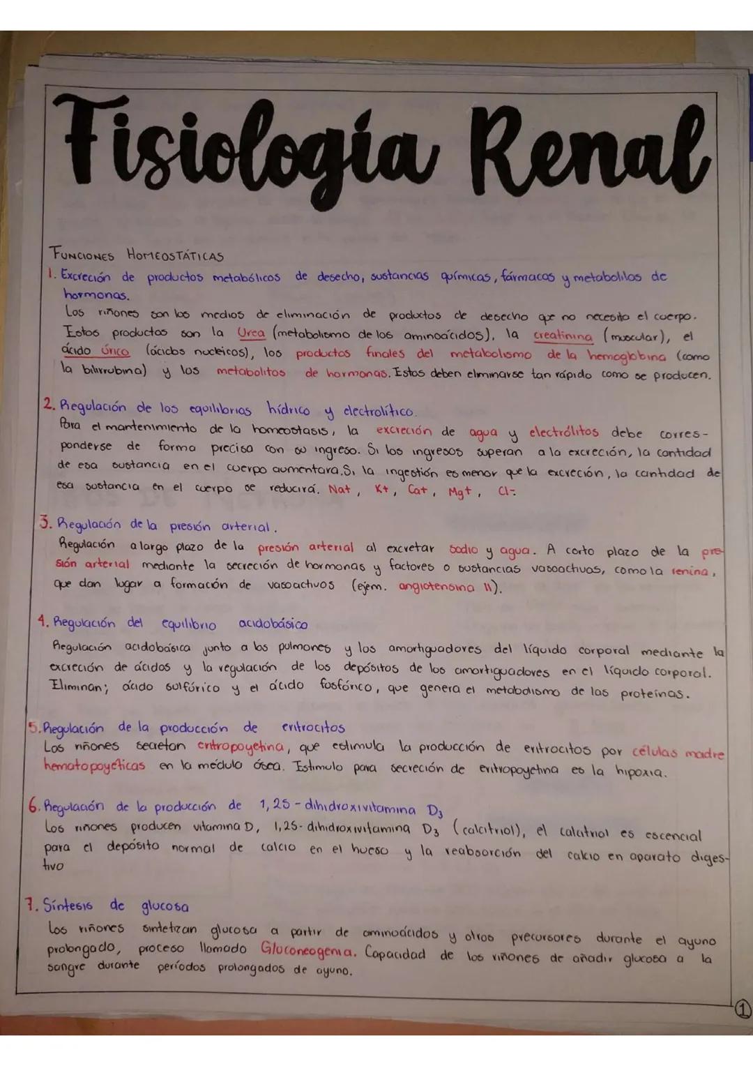 # Fisiología Renal
FUNCIONES HOMEOS TÁTICAS
1. Excreción de productos metabólicos de desecho, sustancias químicas, fármacos y metabolilos
