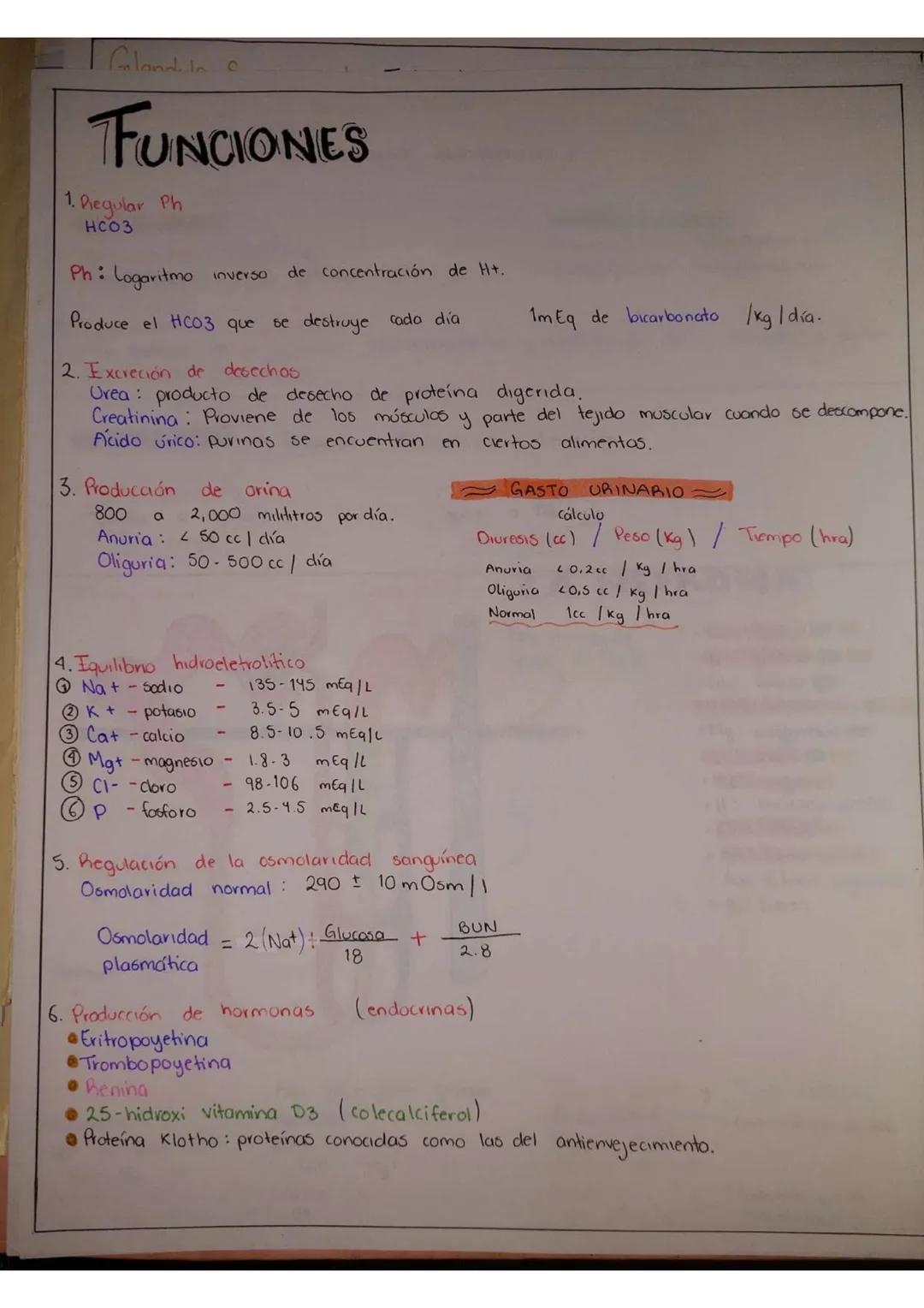 # Fisiología Renal
FUNCIONES HOMEOS TÁTICAS
1. Excreción de productos metabólicos de desecho, sustancias químicas, fármacos y metabolilos