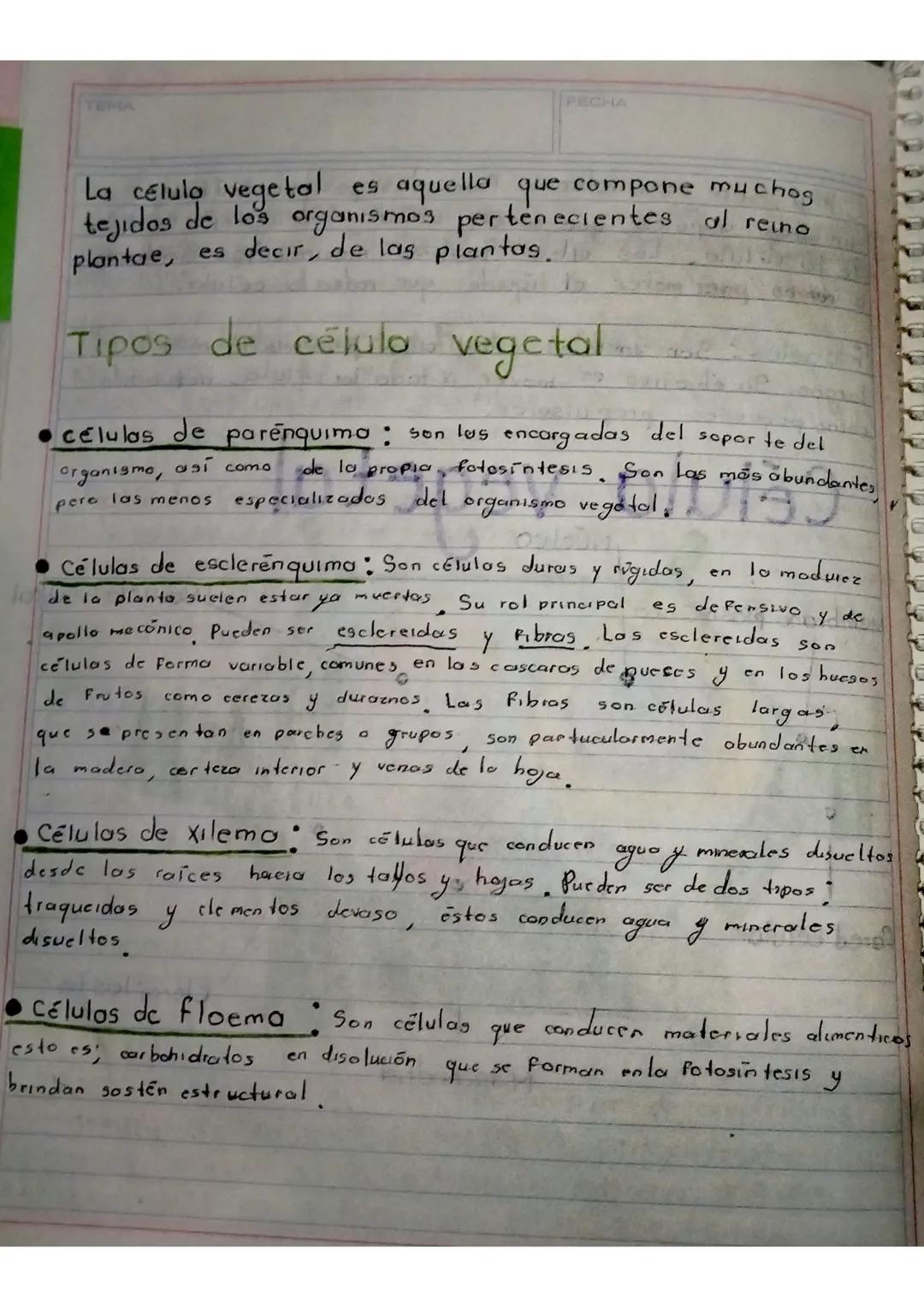 # Célula Eucariota
La célula cucariota es aquella cuyo material hereditario (ADN)
se encuentra envuelto por una membrana, la envoltura nude