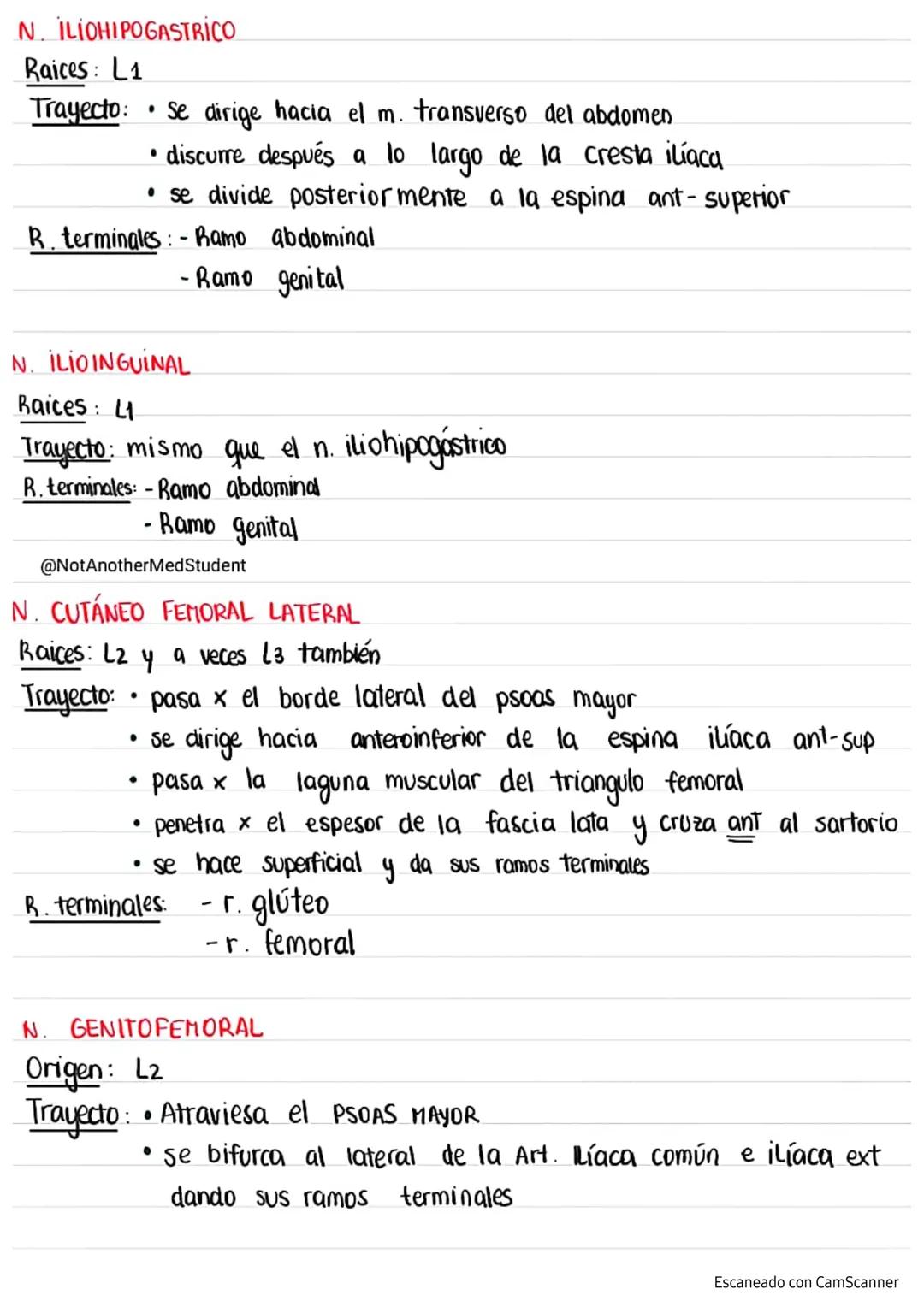 Plexo LUMBAR
NERVIOS
del Rouviere
>formado por los ramos anteriores de los primeros 4 nervios
Lumbares
T12
L1
L2
L3
L4
L5
N. Subcostal (fuer