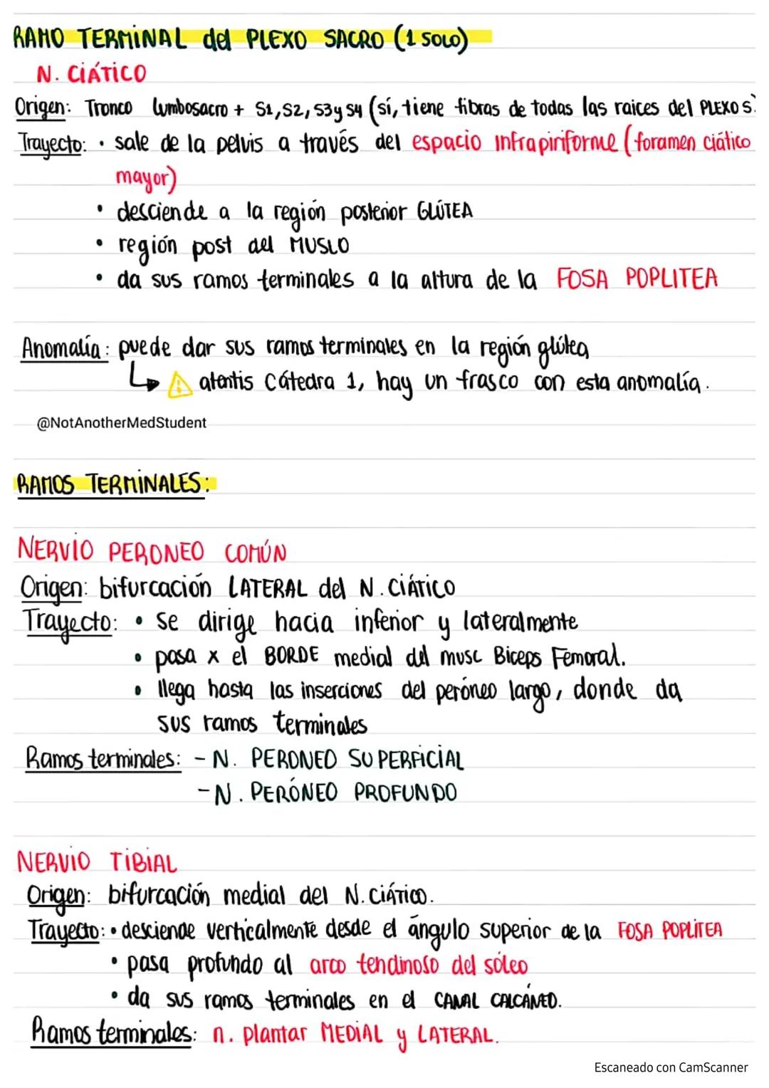 Plexo LUMBAR
NERVIOS
del Rouviere
>formado por los ramos anteriores de los primeros 4 nervios
Lumbares
T12
L1
L2
L3
L4
L5
N. Subcostal (fuer
