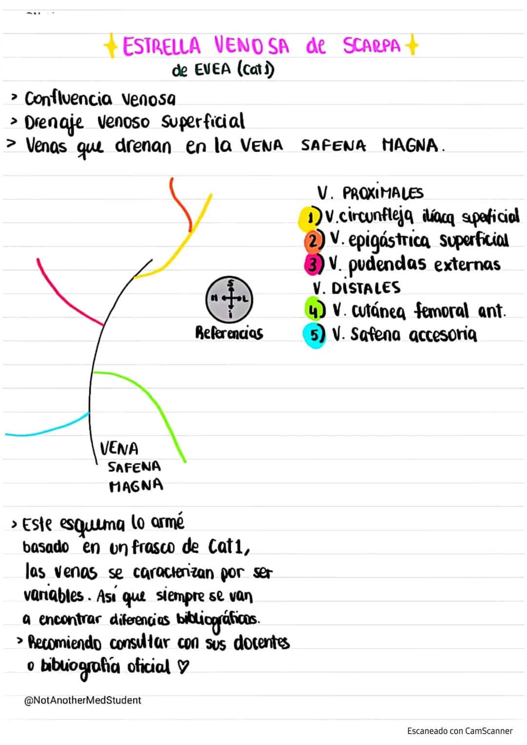 + VENAS+
Latarjet
Venas del
M.I.
Red venosa profunda→ satélites de las arterias
principales
Red venosa superficial subcutáneas que drenan