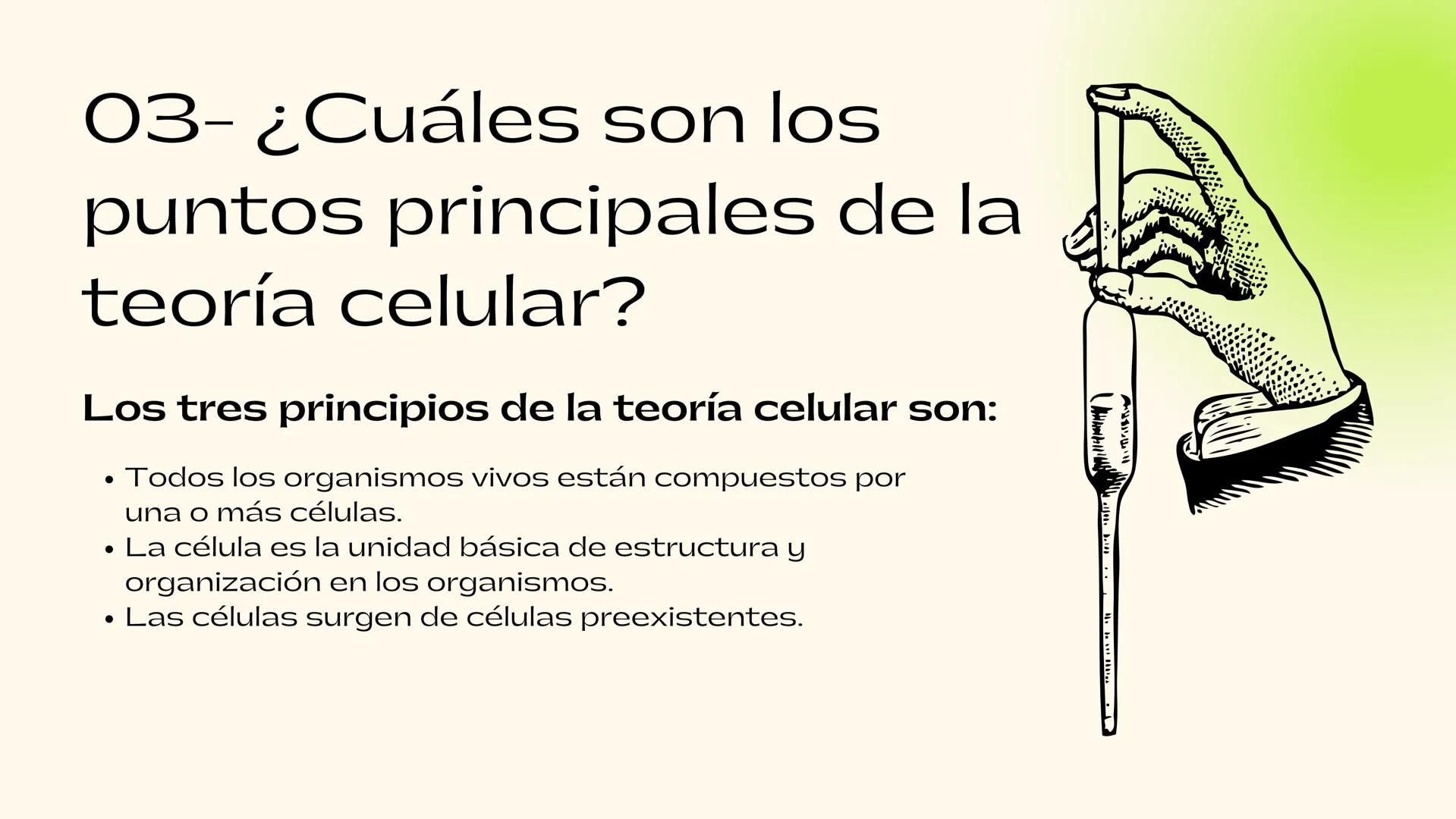 Equipo 2
Teoría
celular
Biología I 01 - Definición
La teoría celular es un principio fundamental
en biología y medicina que establece que