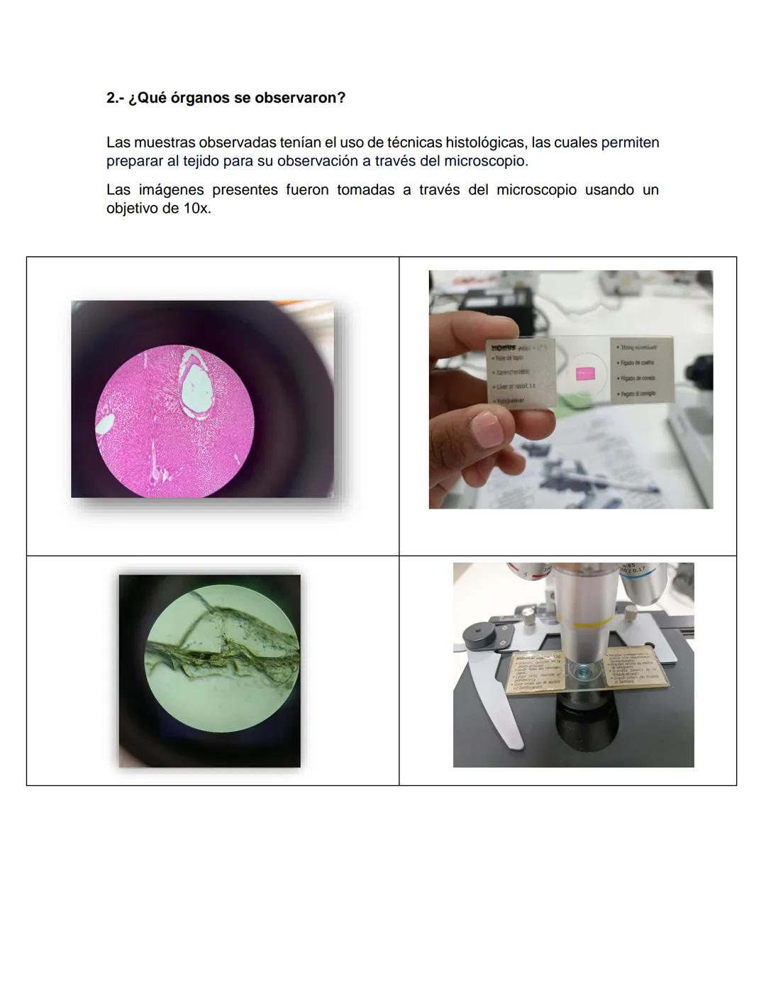 NIVERSIDAD DEL PAPALOAPAA
UNPA
OAXACA
Ingeniería en biotecnología
Universidad del Papaloapan
Febrero 2019
Manual de prácticas y protocol