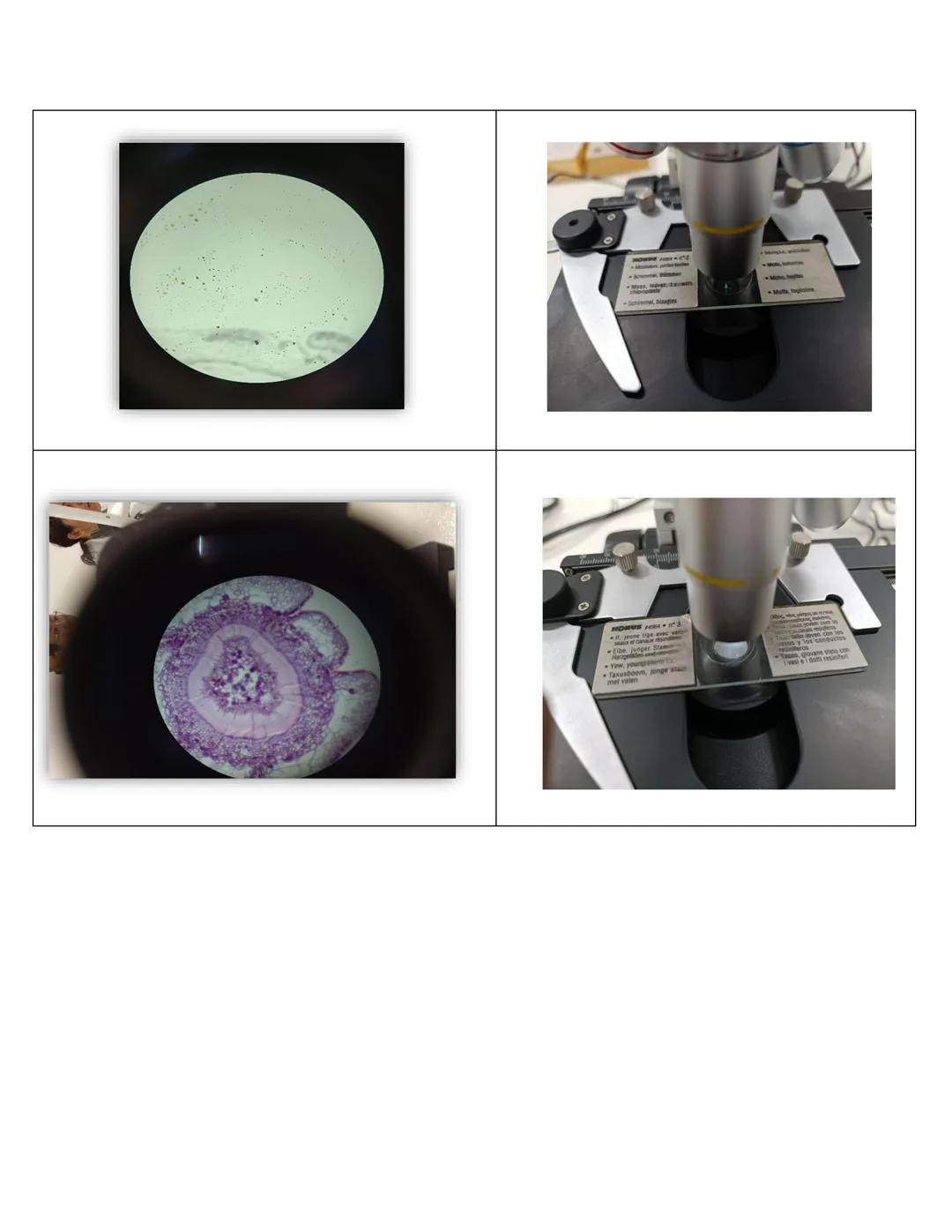 NIVERSIDAD DEL PAPALOAPAA
UNPA
OAXACA
Ingeniería en biotecnología
Universidad del Papaloapan
Febrero 2019
Manual de prácticas y protocol