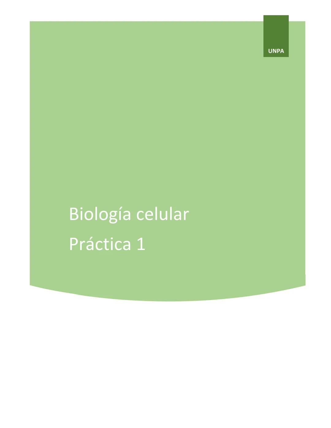 NIVERSIDAD DEL PAPALOAPAA
UNPA
OAXACA
Ingeniería en biotecnología
Universidad del Papaloapan
Febrero 2019
Manual de prácticas y protocol