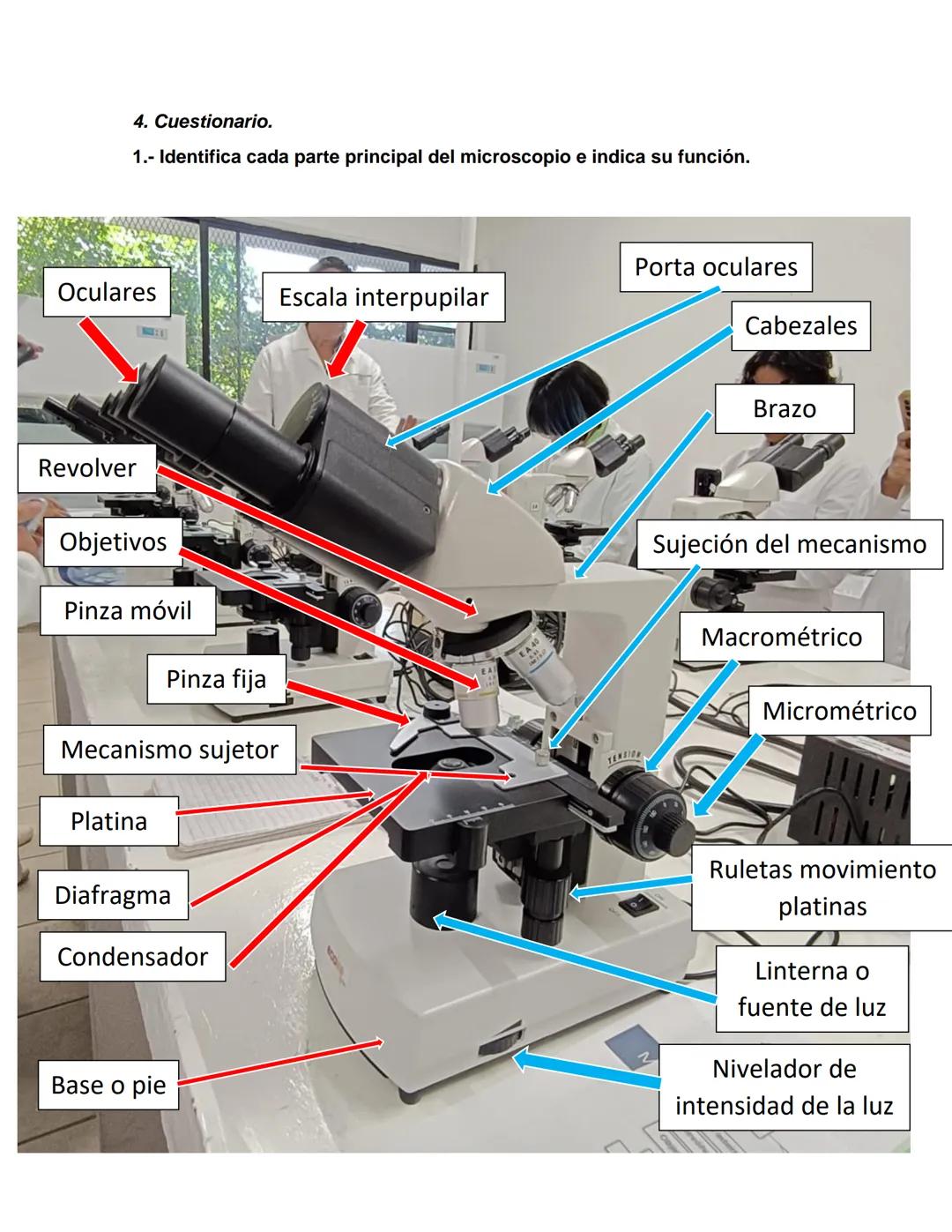 NIVERSIDAD DEL PAPALOAPAA
UNPA
OAXACA
Ingeniería en biotecnología
Universidad del Papaloapan
Febrero 2019
Manual de prácticas y protocol