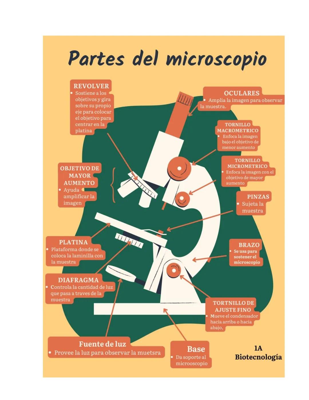 NIVERSIDAD DEL PAPALOAPAA
UNPA
OAXACA
Ingeniería en biotecnología
Universidad del Papaloapan
Febrero 2019
Manual de prácticas y protocol