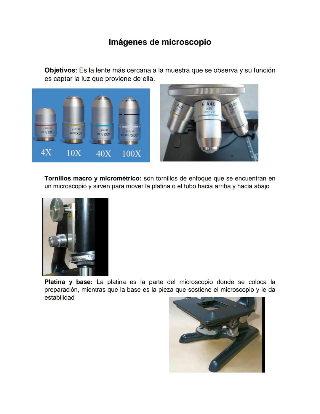 NIVERSIDAD DEL PAPALOAPAA
UNPA
OAXACA
Ingeniería en biotecnología
Universidad del Papaloapan
Febrero 2019
Manual de prácticas y protocol