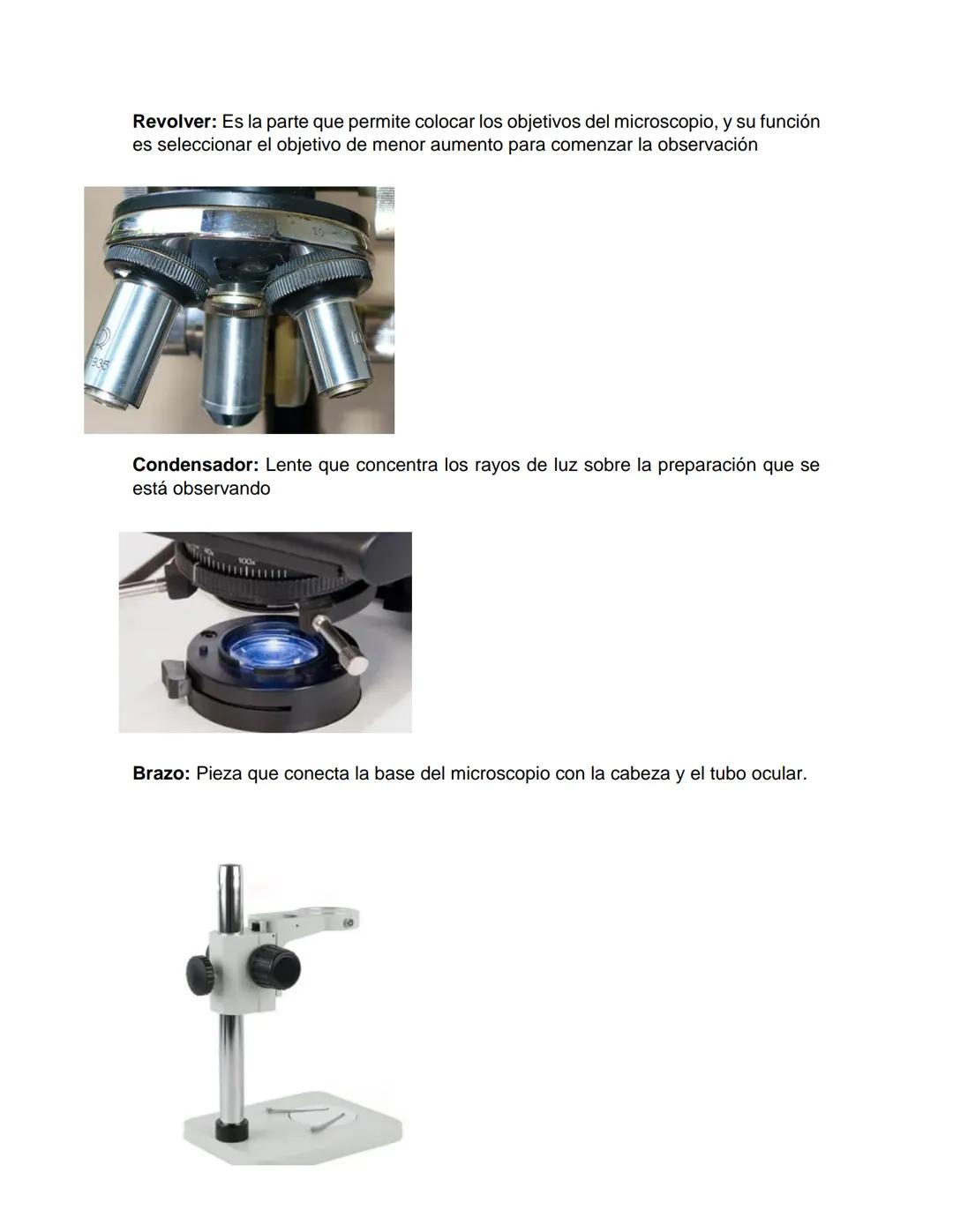 NIVERSIDAD DEL PAPALOAPAA
UNPA
OAXACA
Ingeniería en biotecnología
Universidad del Papaloapan
Febrero 2019
Manual de prácticas y protocol