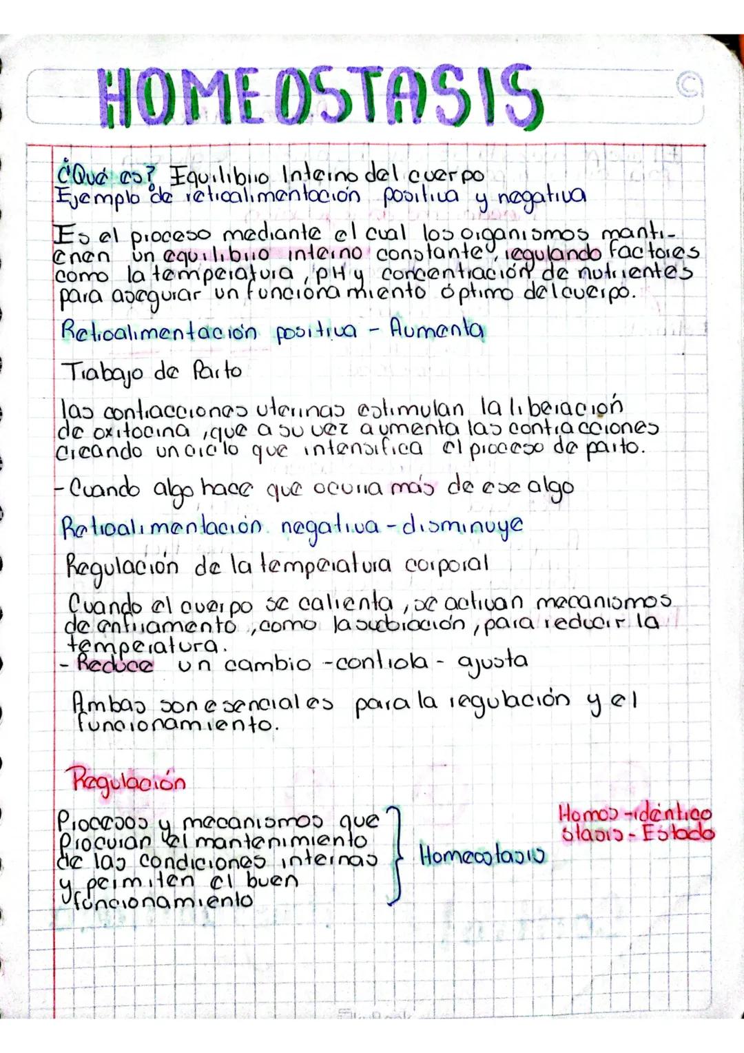 # HOME OSTASIS
¿Qué es? Equilibrio Interno del cuerpo
Ejemplo de retroalimentación positiva y negativa
Es el proceso mediante el cual los