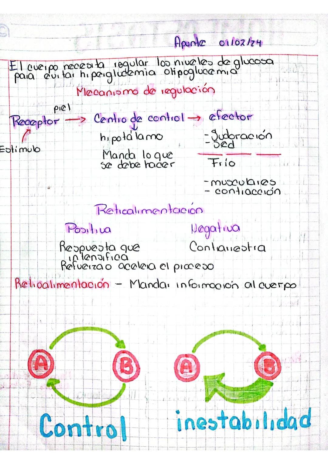 # HOME OSTASIS
¿Qué es? Equilibrio Interno del cuerpo
Ejemplo de retroalimentación positiva y negativa
Es el proceso mediante el cual los
