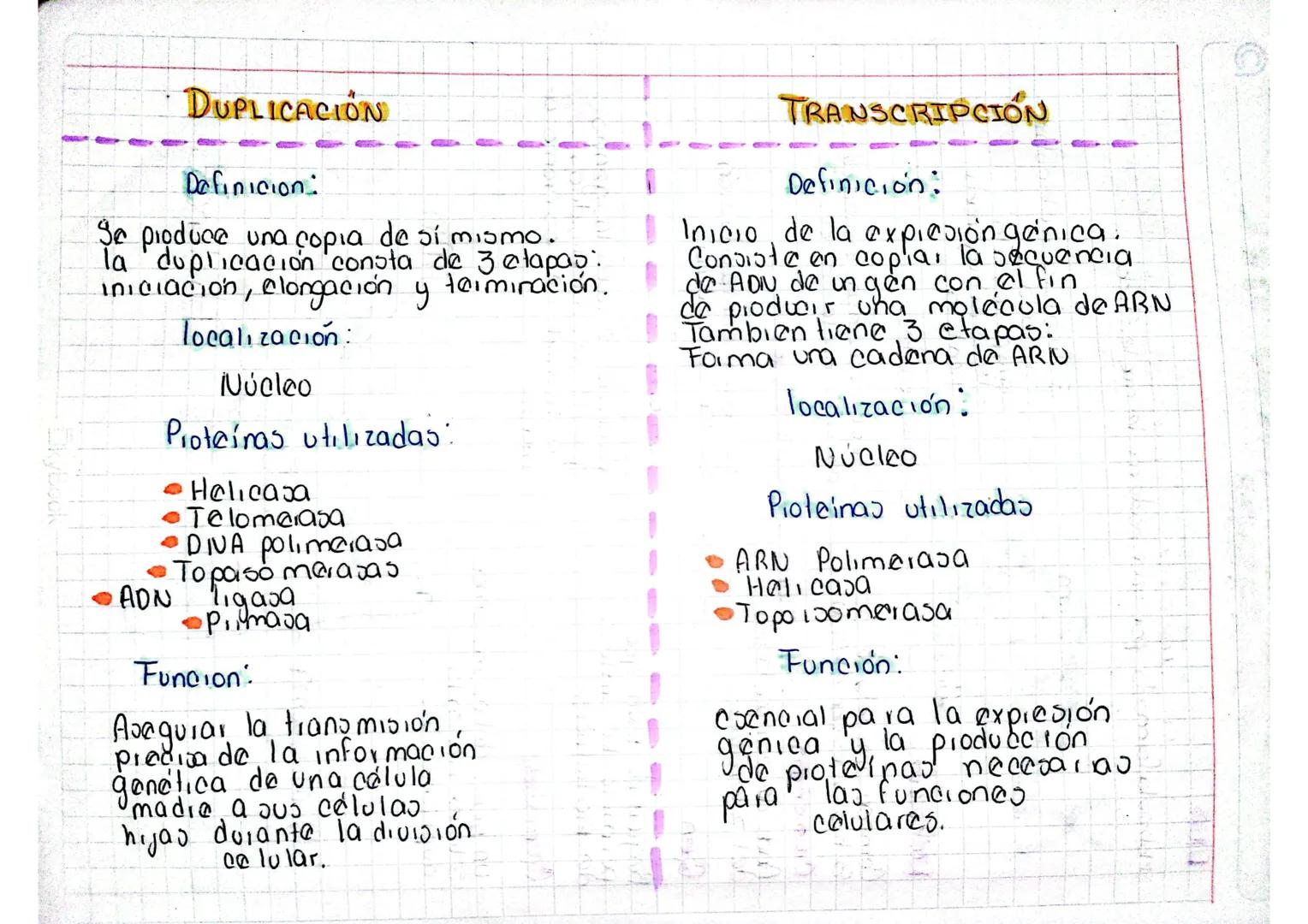 DUPLICACIÓN
Definicion:
Se produce una copia de sí mismo.
la duplicación consta de 3 etapas.
iniciación, elongación y terminación.
locali