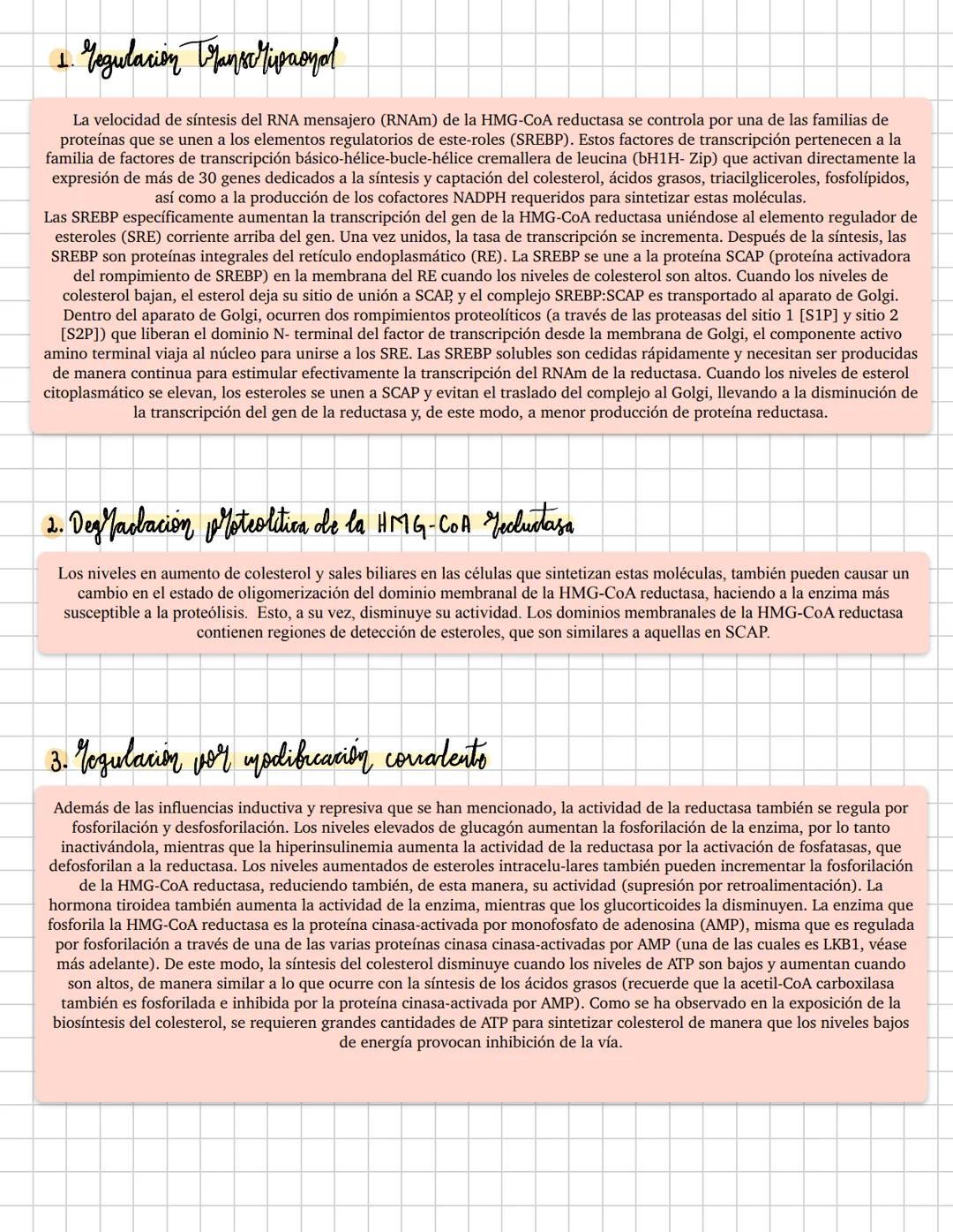 Se da en el heticulo
Endoplasmático
# Diosintesis de Colesterol
2 formas de obtener colesterol
Vía exogena
Elintestino absorbe el
coles