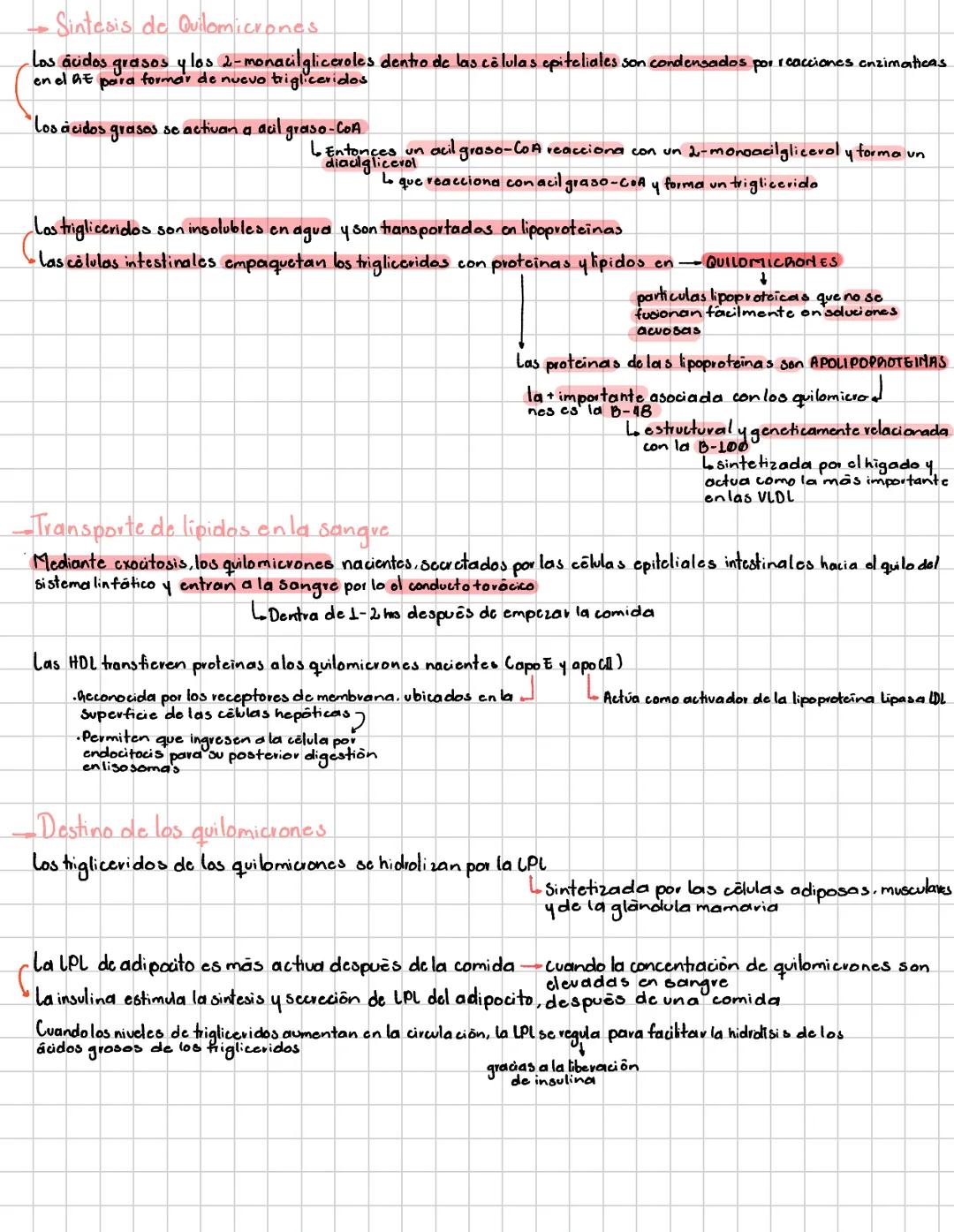 # Digestión de trigliceridos
hidrólisis de
Acidos
grasos
2-monoacil-
gliceroles
digestión y Traysporte
de los lipidos
→la digestion depen
