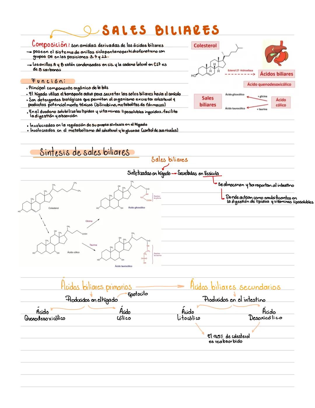 # DEFINICIÓN
Grupo heterogeneo de compuestos
orgánicos, constituidos por
Carbono, Hidrogeno y Oxigeno
principalmente.
# CARACTERÍSTICAS:
•