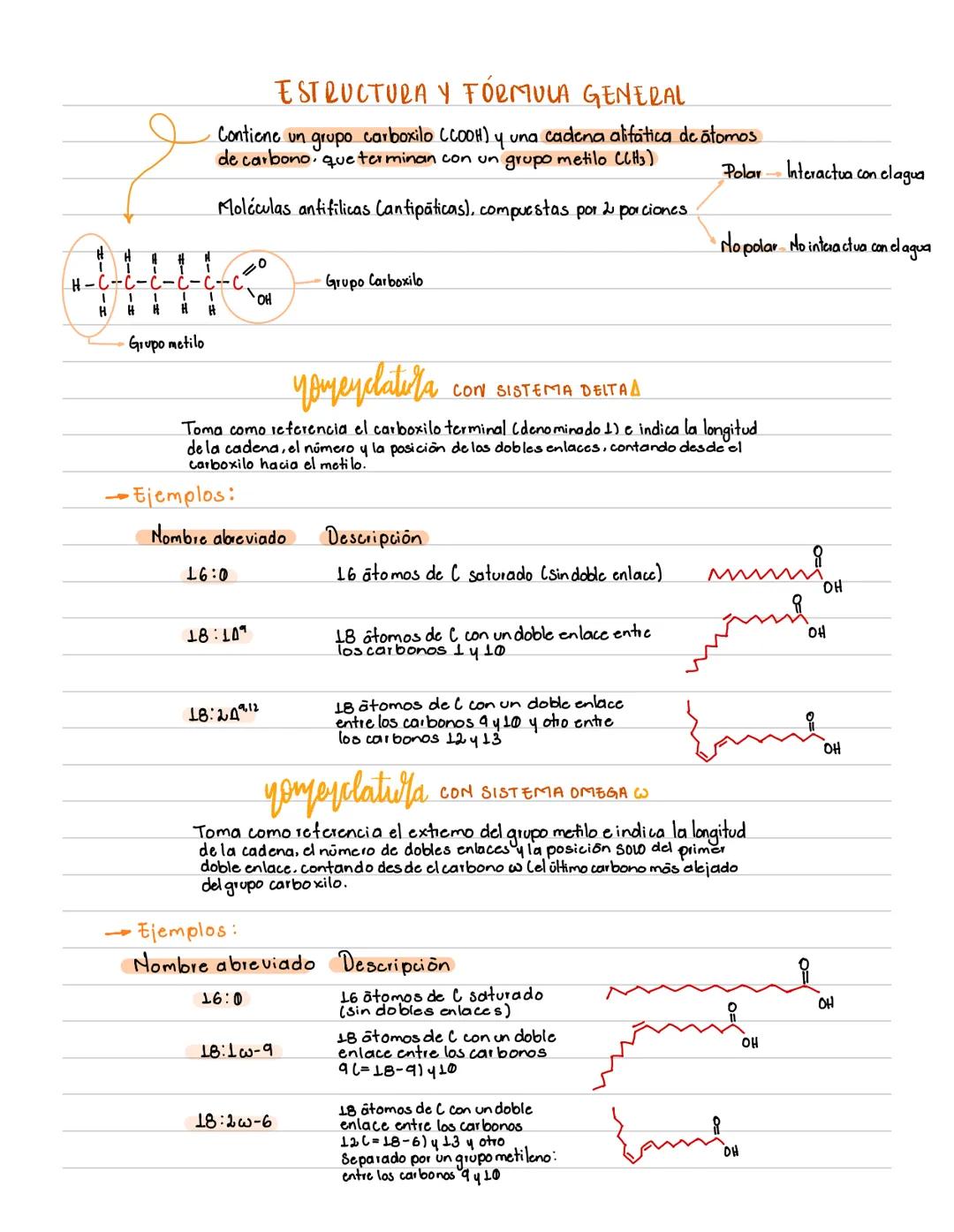 # DEFINICIÓN
Grupo heterogeneo de compuestos
orgánicos, constituidos por
Carbono, Hidrogeno y Oxigeno
principalmente.
# CARACTERÍSTICAS:
•