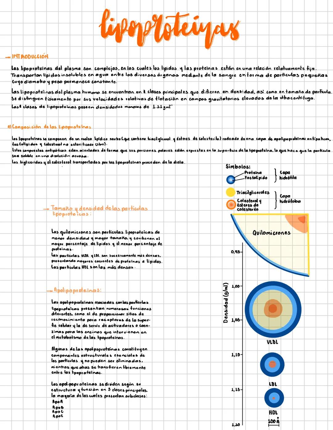 # lipoproteiyas
- INTRODUCCIÓN
Las lipoproteinas del plasma son complejas, en los cuales los lipidos y las proteinas están en una relació
